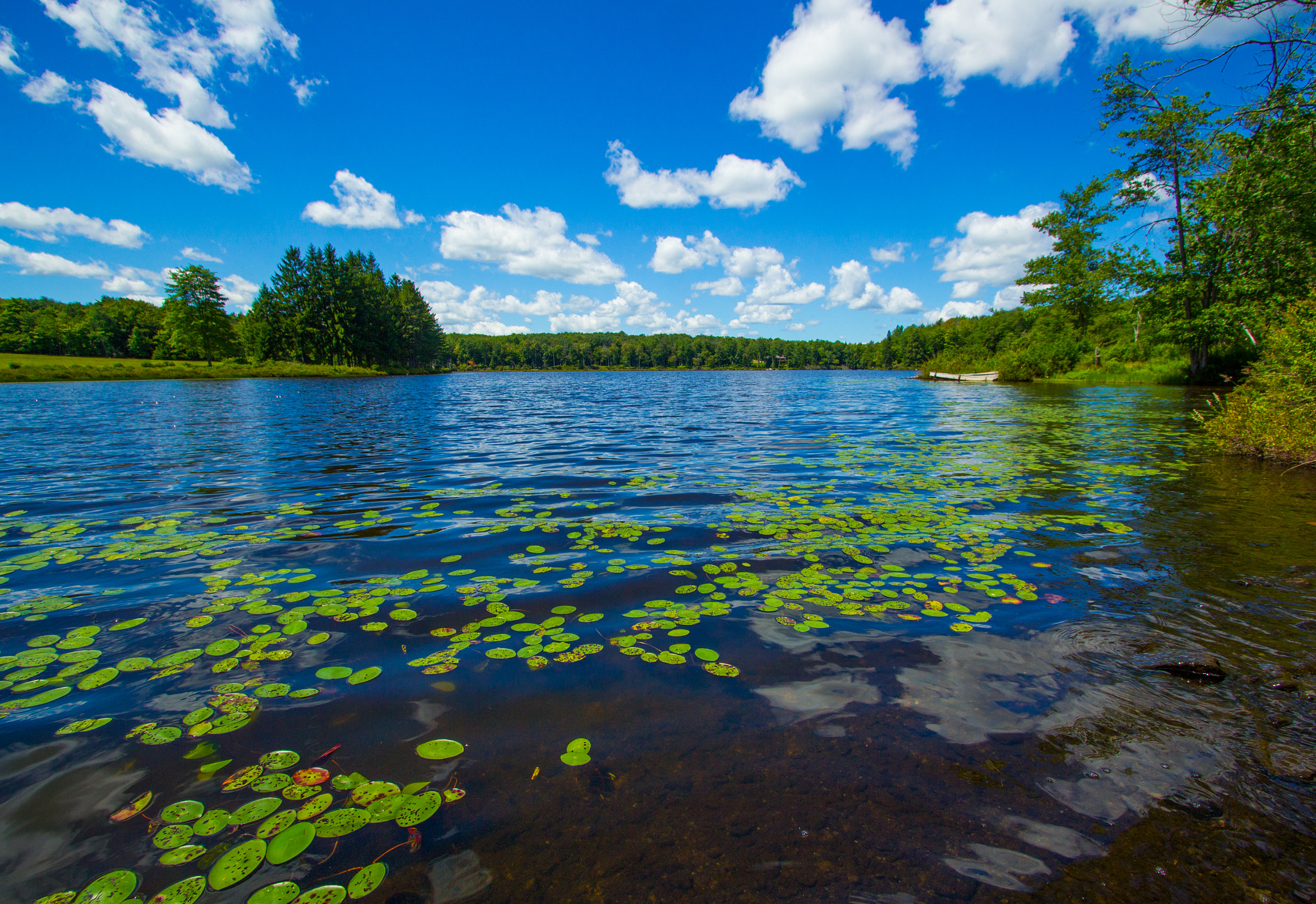 Canon EF-S 10-22mm F3.5-4.5 USM sample photo. Summer afternoon on trojan lake photography