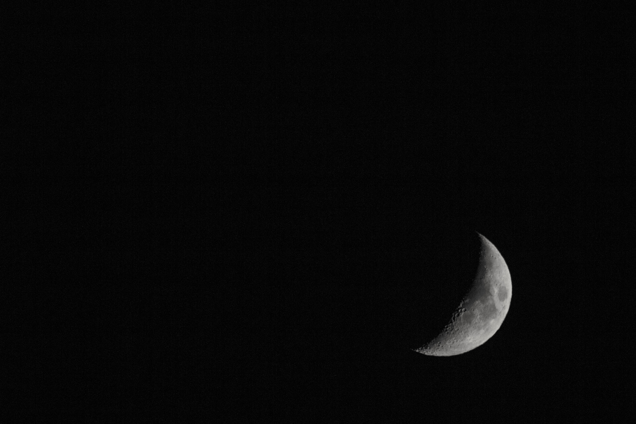 Sigma 150-500mm F5-6.3 DG OS HSM sample photo. Celeste photography