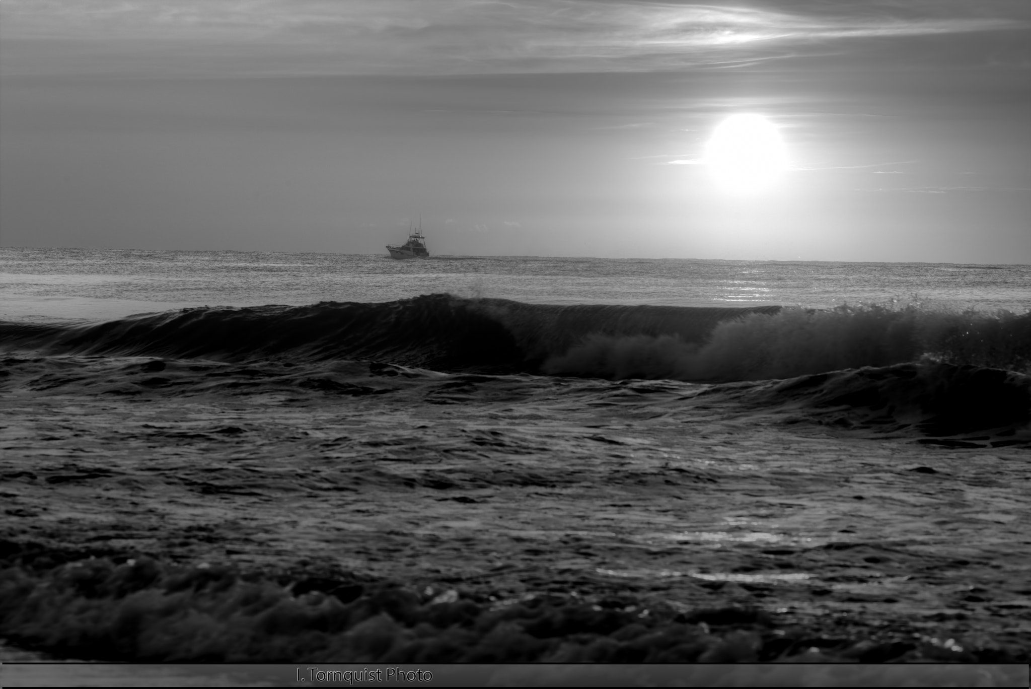 Canon EF 200mm F2.8L II USM sample photo. Ocean grove 9338 photography