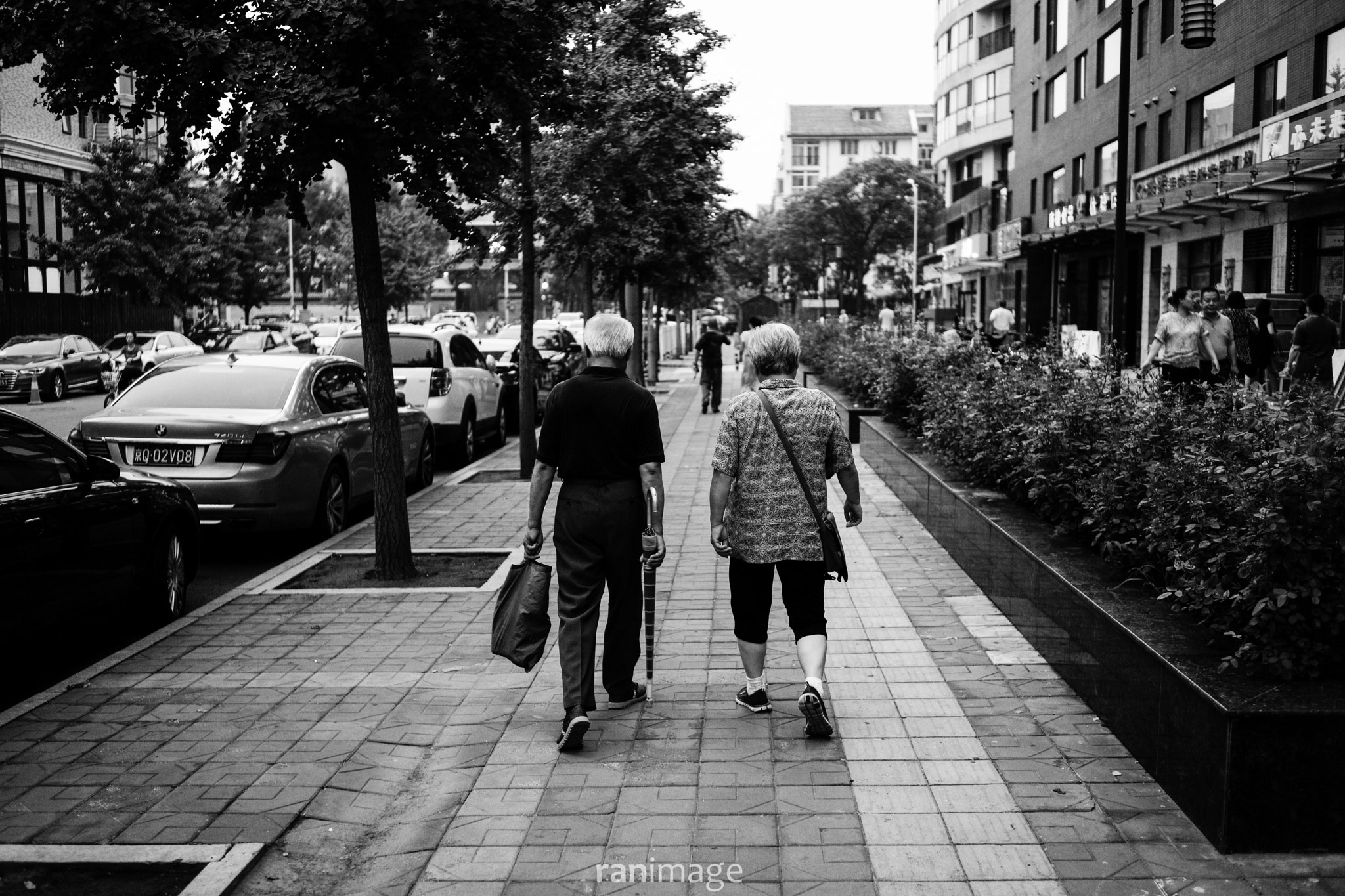 Leica Summarit-M 35mm F2.5 sample photo. Untitled photography