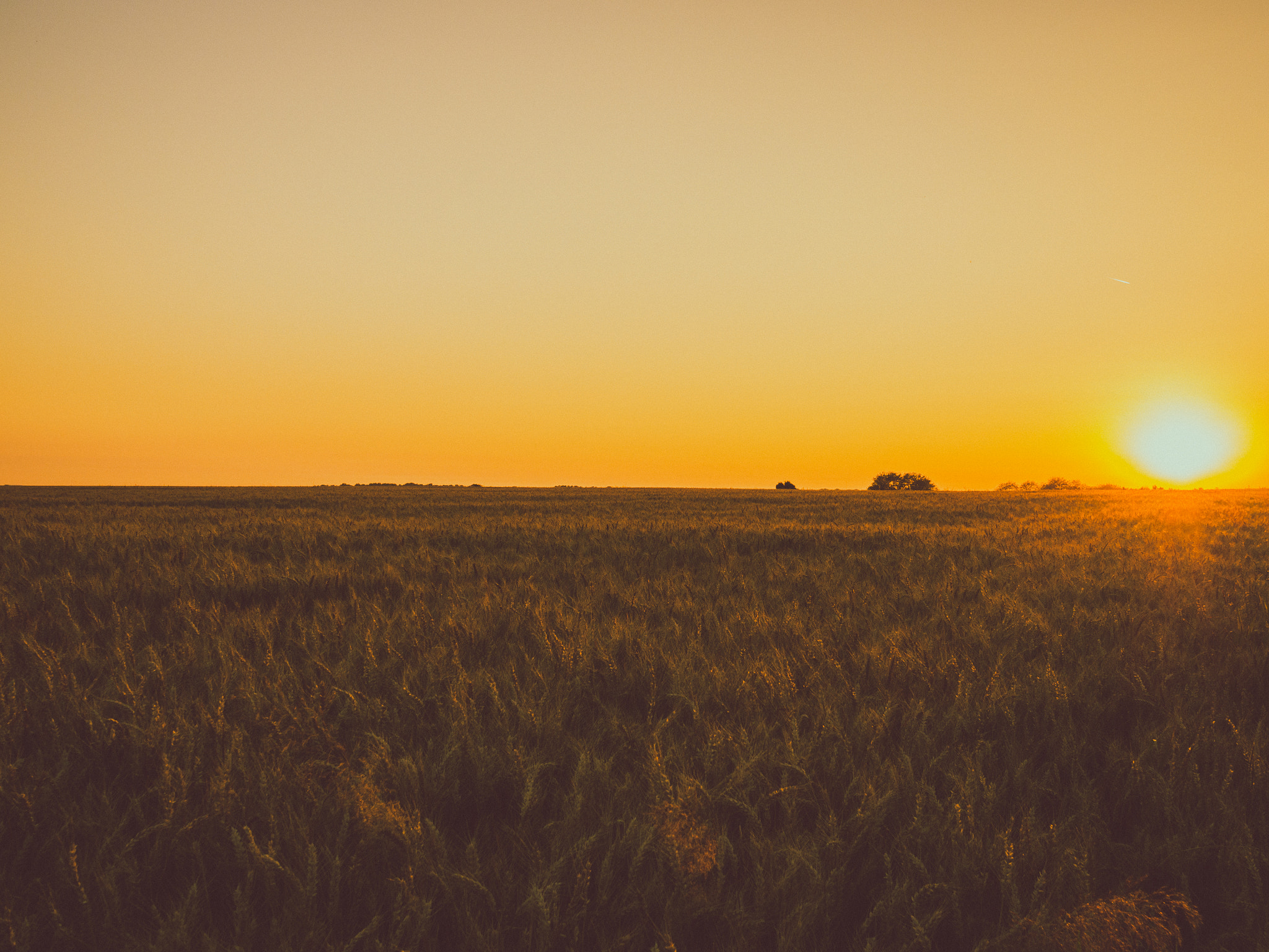 Olympus OM-D E-M10 + Sigma 19mm F2.8 DN Art sample photo. Longueval sunset photography