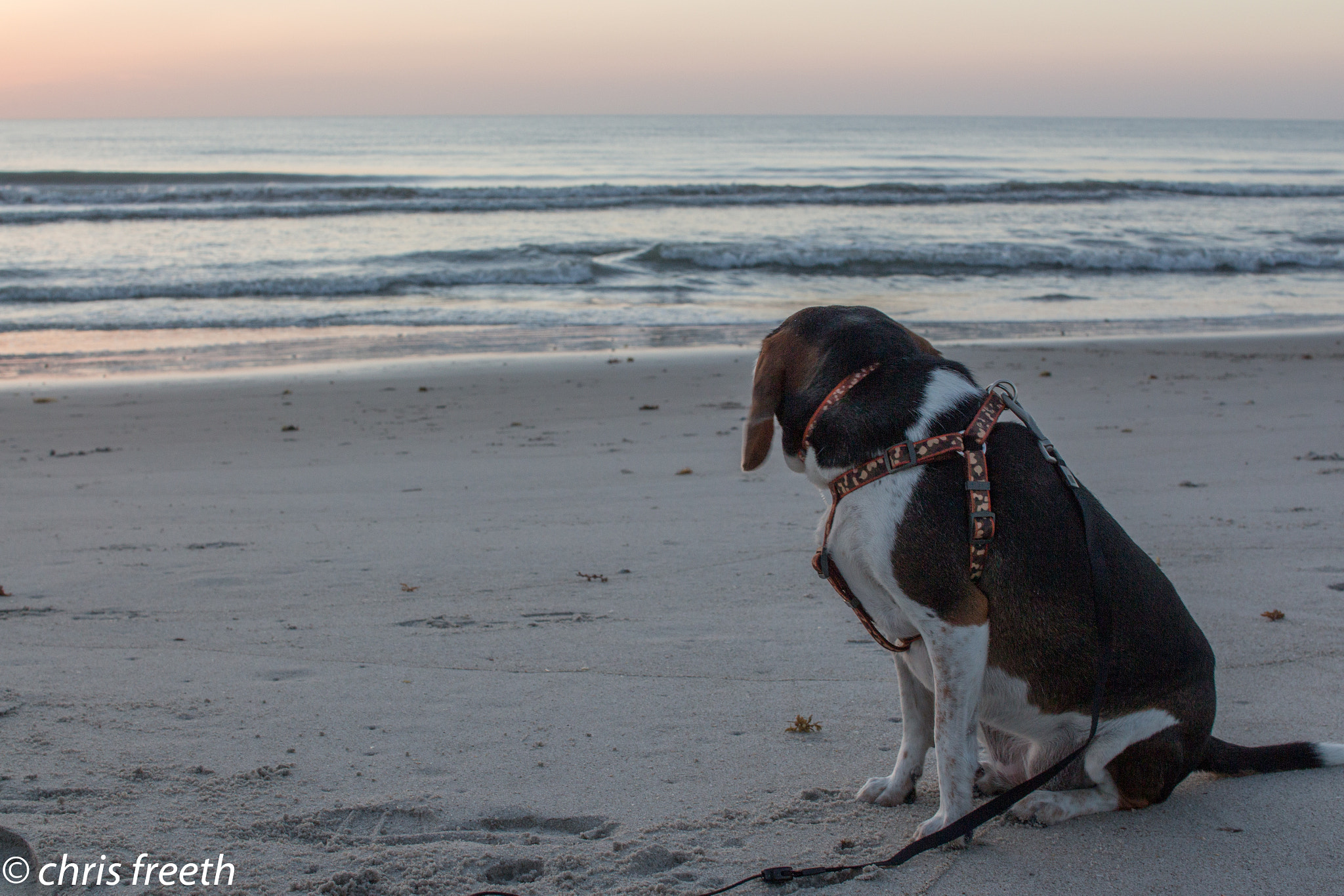 Sigma 30mm F1.4 EX DC HSM sample photo. I'm not going in there i've seen jaws photography