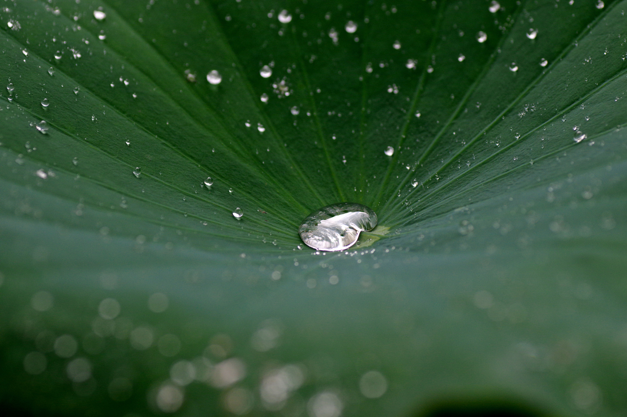 Pentax K-3 + Tamron SP AF 90mm F2.8 Di Macro sample photo. Galaxy photography