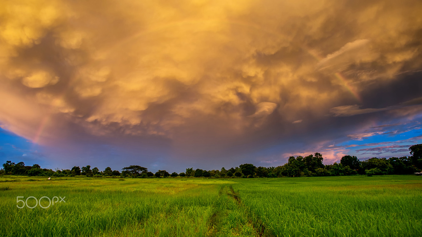 Nikon AF-S Nikkor 17-35mm F2.8D ED-IF sample photo. Beautiful stormy sky with rainbow photography