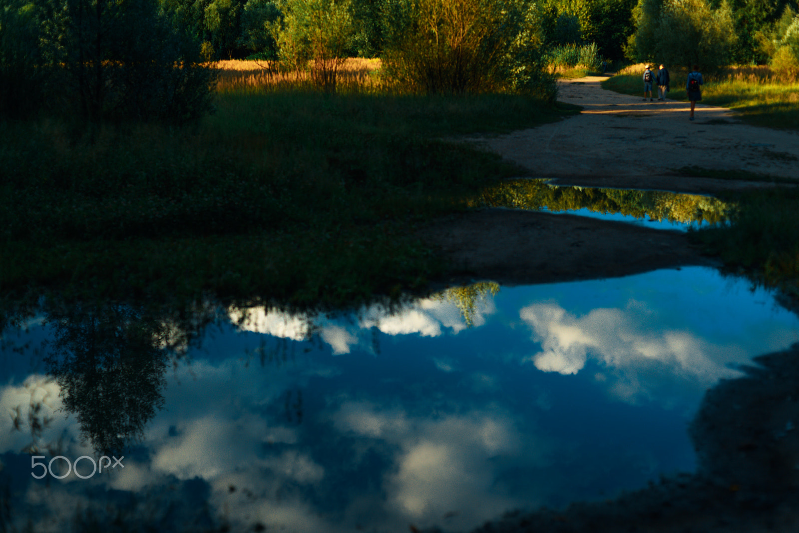 Sony a7R II + Sony 50mm F1.4 sample photo. Lovely reflection photography