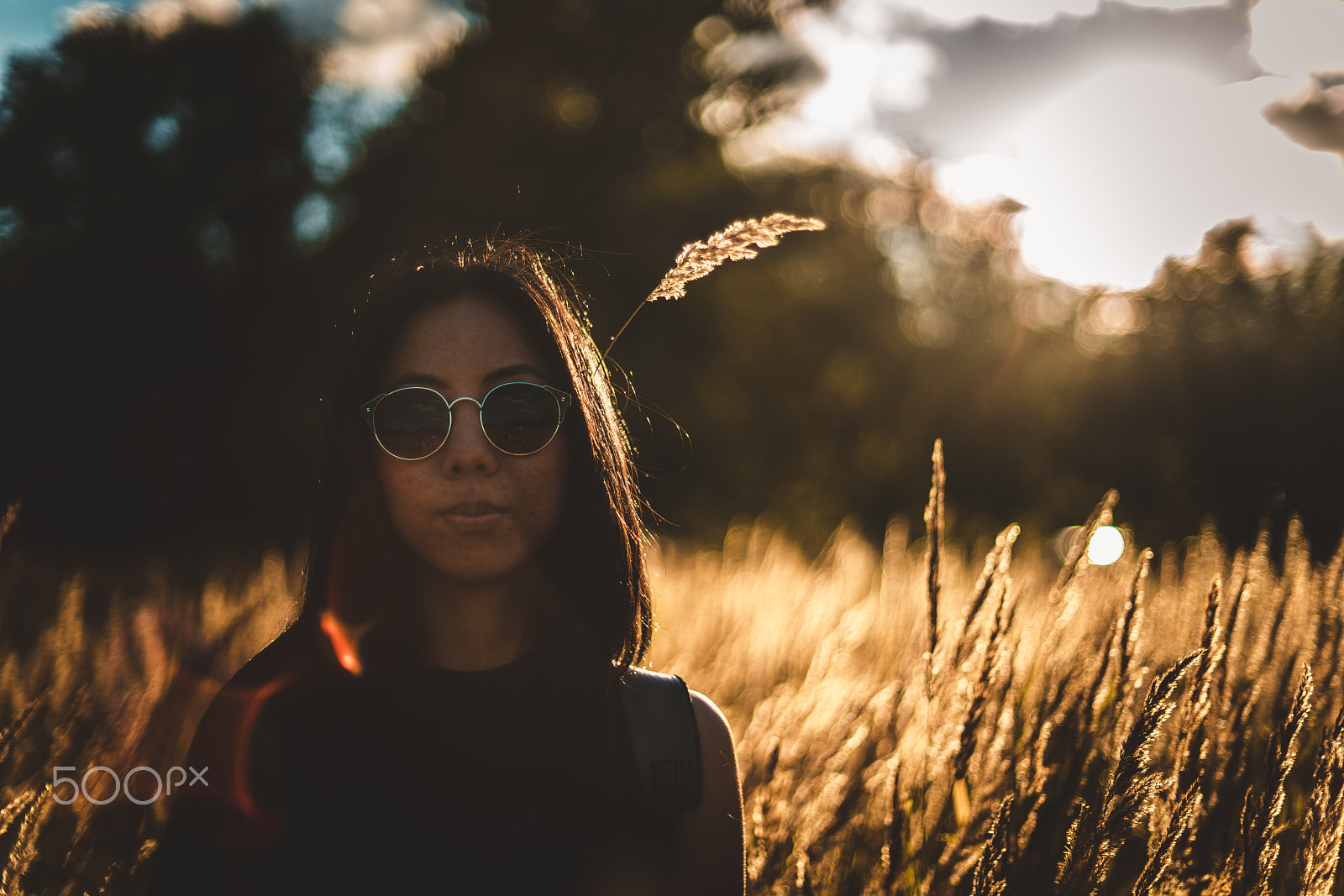 Sony a7R II + Sony 50mm F1.4 sample photo. Summer breath 2 photography