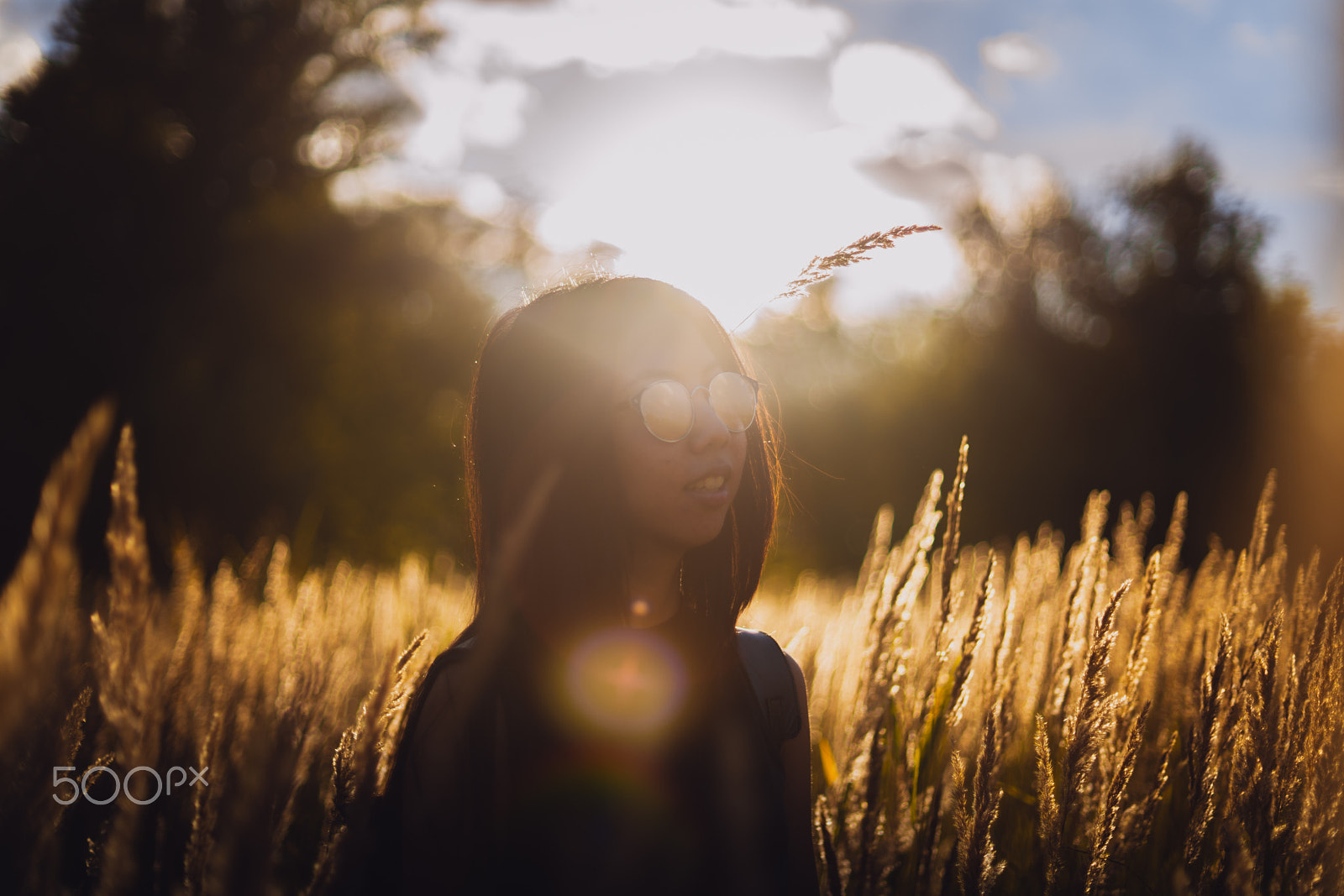 Sony a7R II + Sony 50mm F1.4 sample photo. Summer breath 3 photography