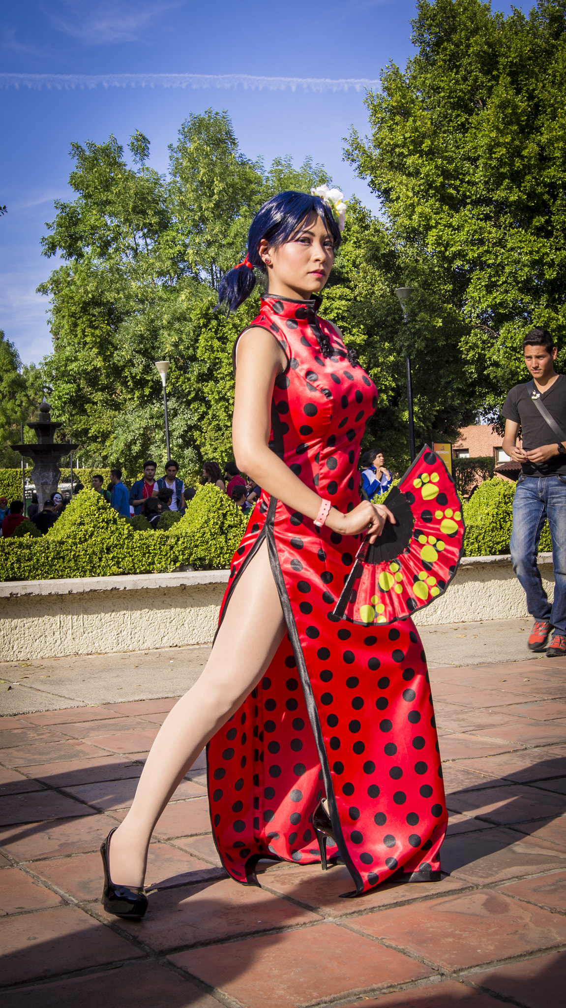 Sony SLT-A35 + Sony DT 18-55mm F3.5-5.6 SAM sample photo. Ladybug photography