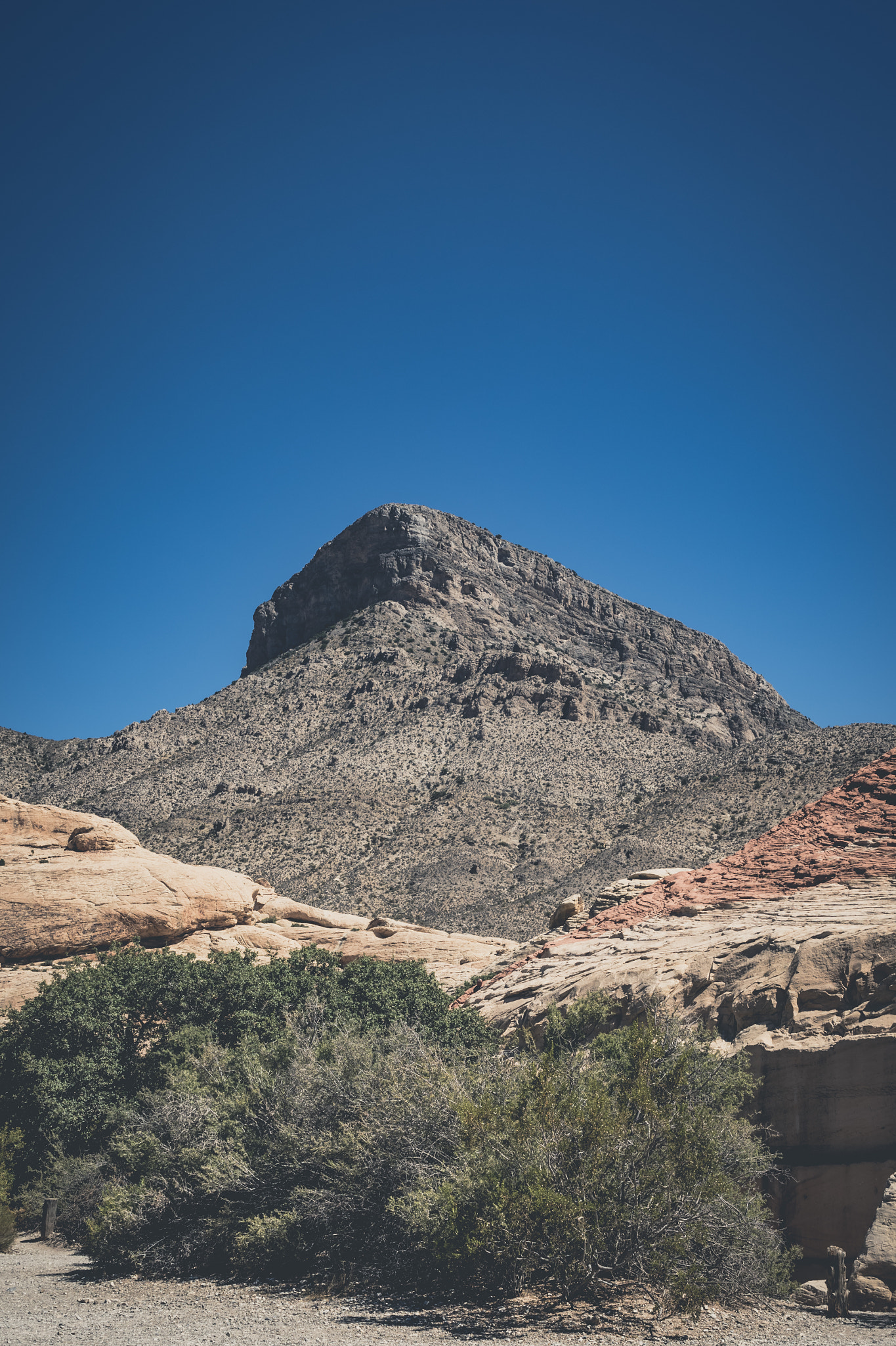 Canon EF 400mm f/2.8L sample photo. Blackhat photography