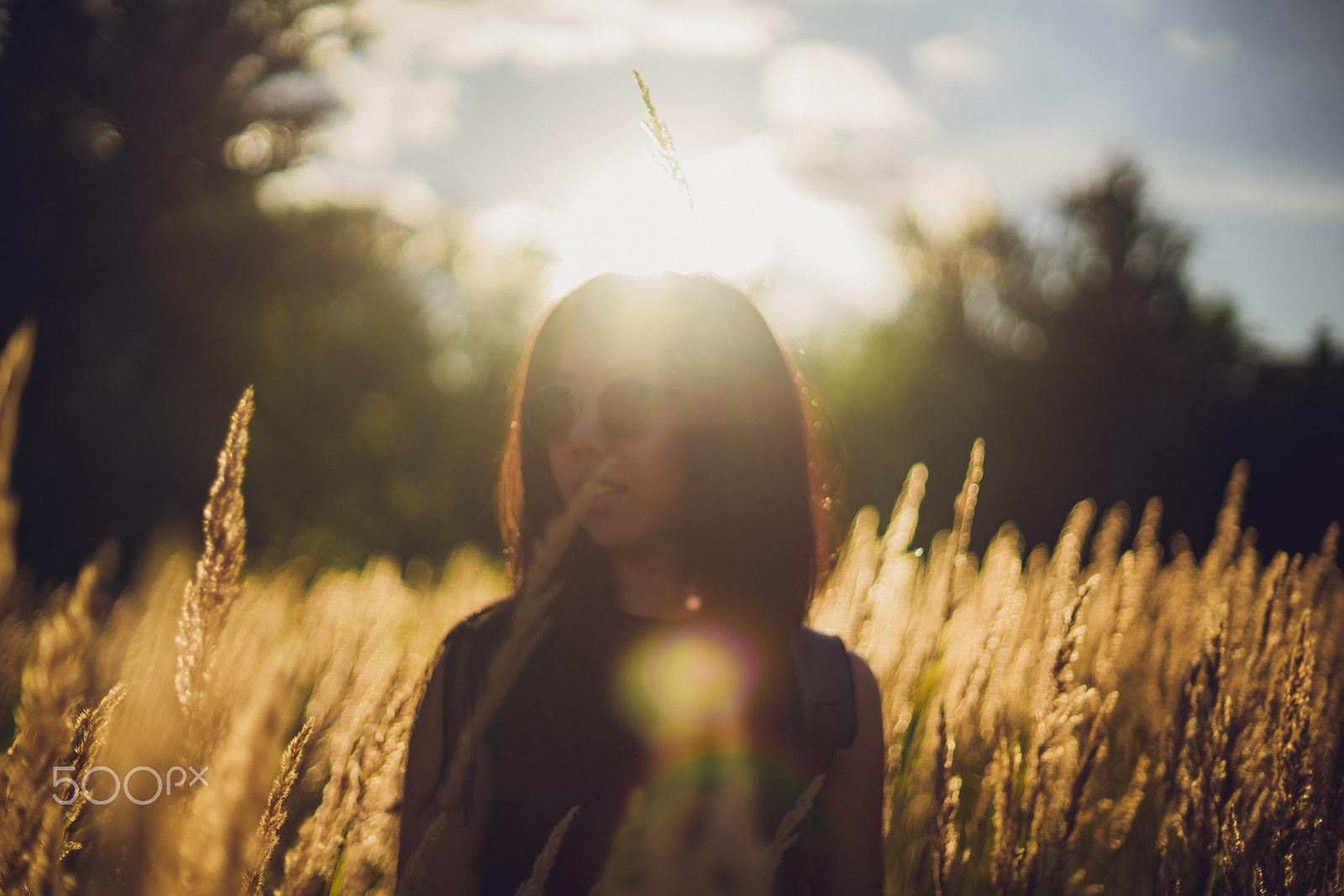 Sony a7R II + Sony 50mm F1.4 sample photo. Simple photography