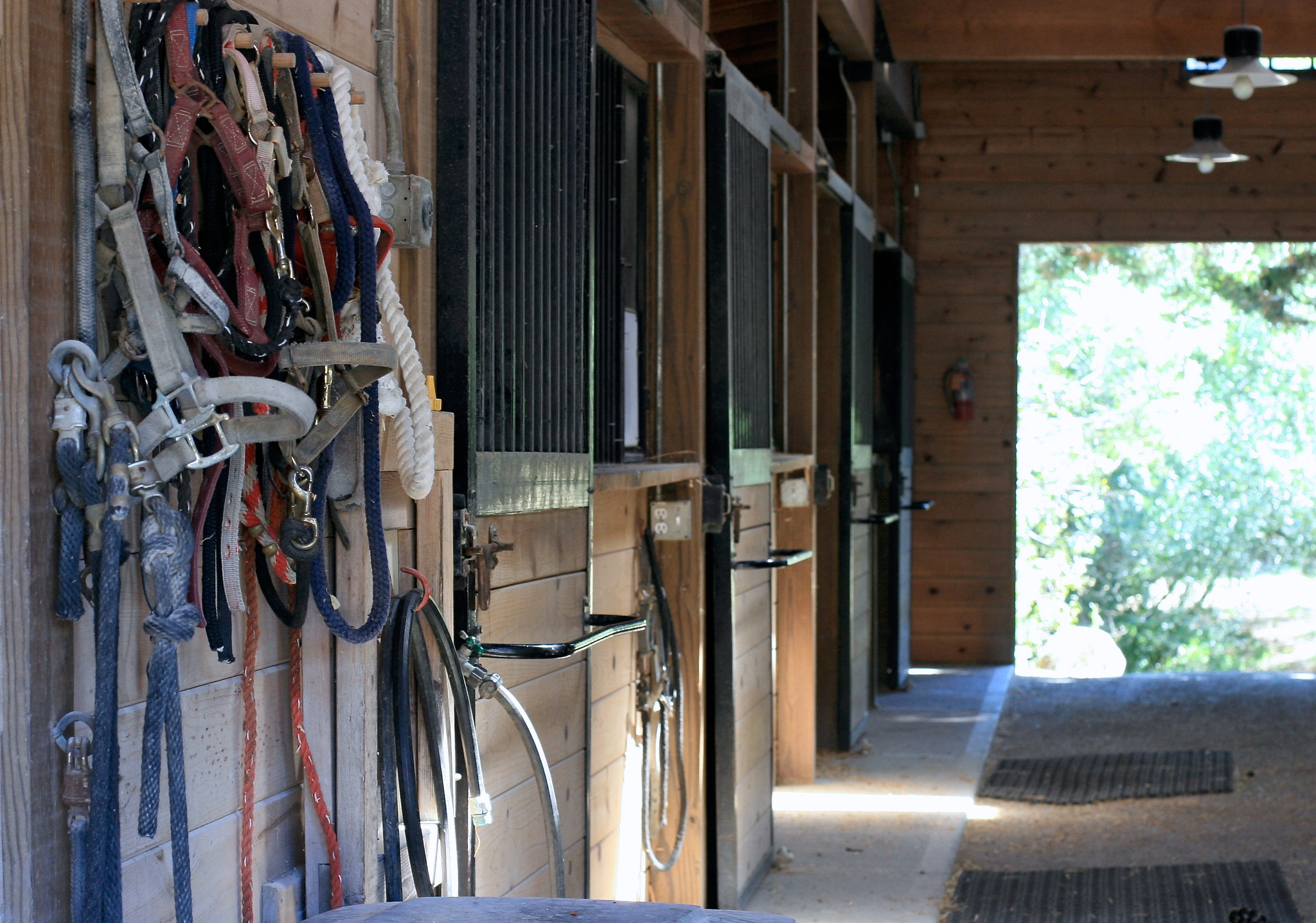 Canon EOS 30D + Canon EF 50mm F1.4 USM sample photo. Barn photography