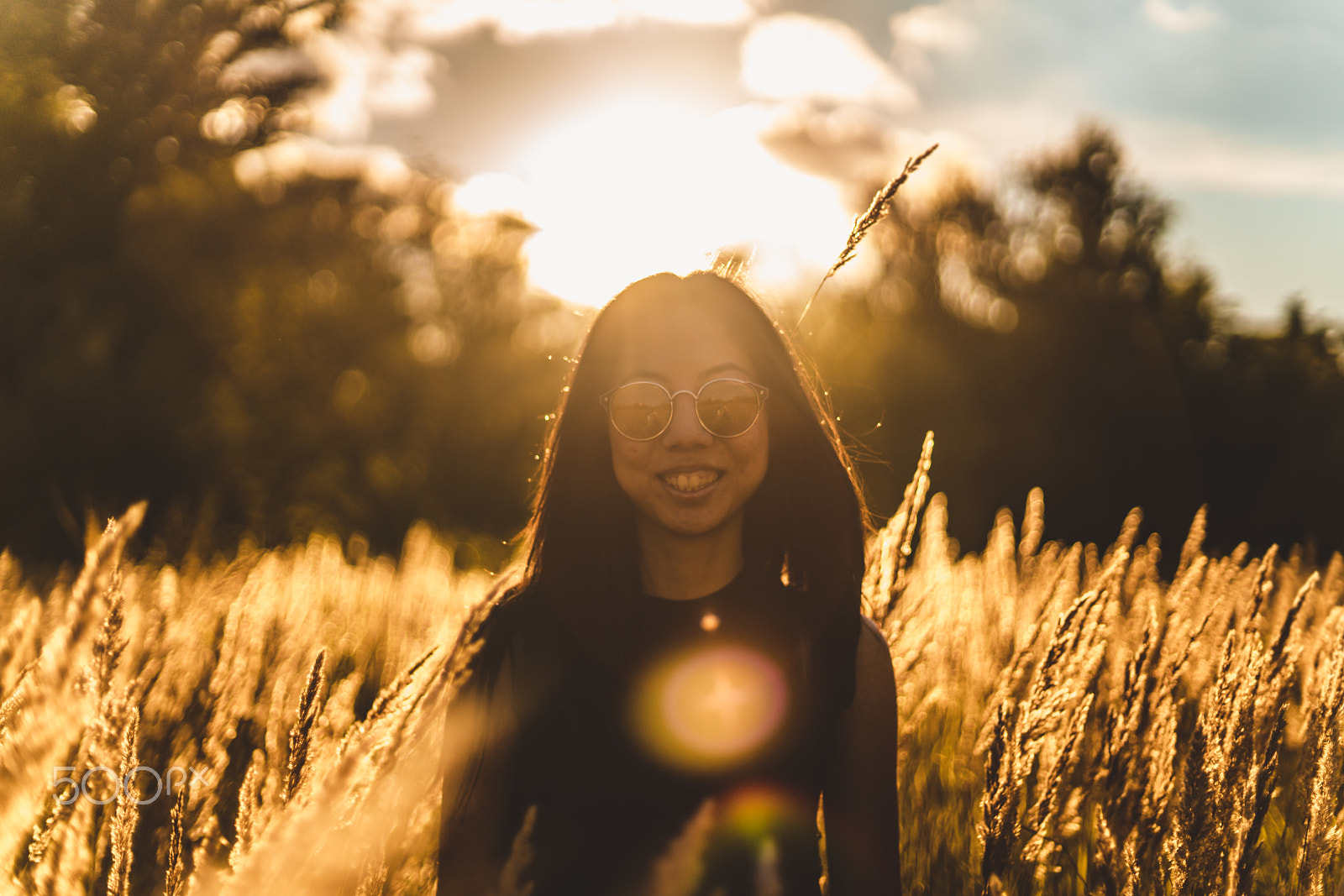 Sony a7R II + Sony 50mm F1.4 sample photo. Golden sunset photography