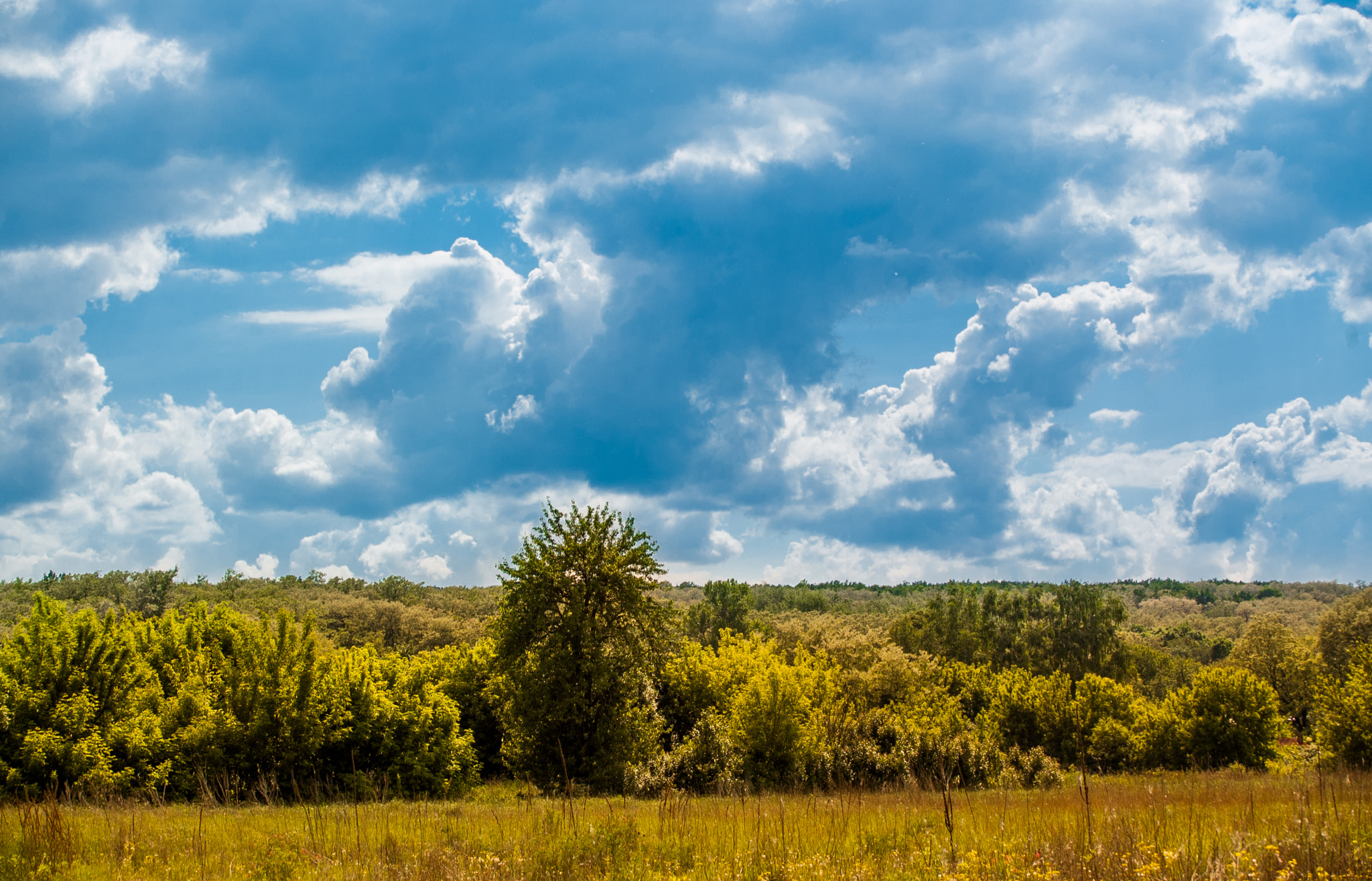 Nikon D50 + Sigma 18-50mm F3.5-5.6 DC sample photo. Пейзаж photography