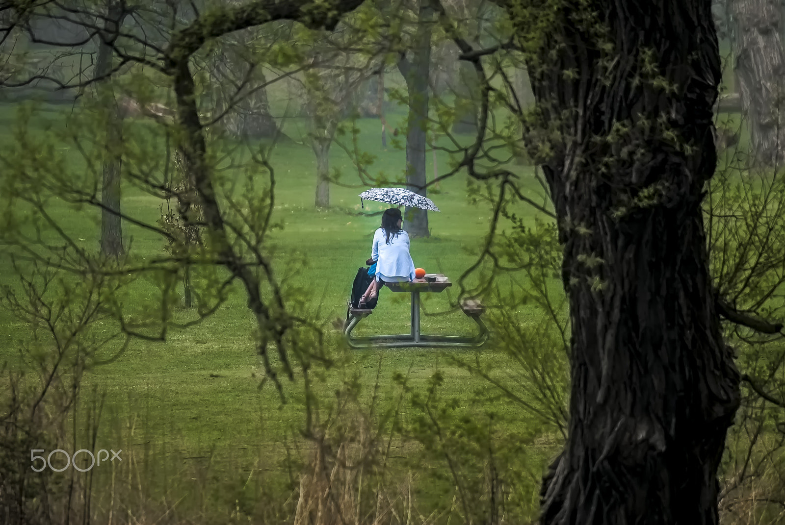 Nikon D200 sample photo. Alone in the rain photography