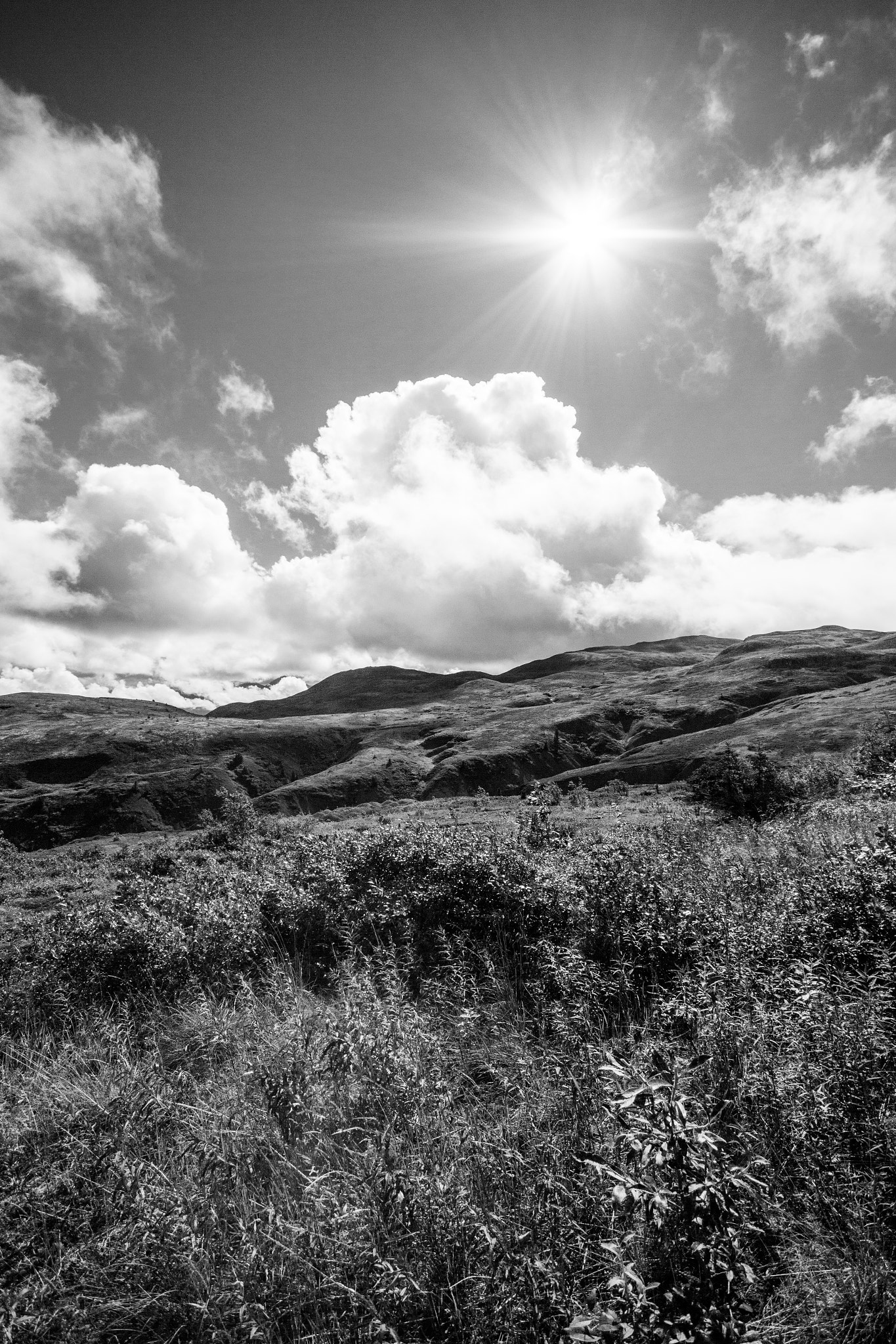 Sigma 10-20mm F4-5.6 EX DC HSM sample photo. I've got sunshine on a cloudy day photography