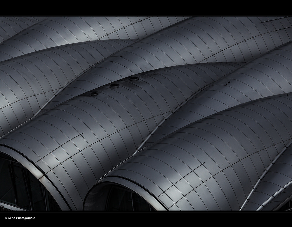 Canon EF 100-400mm F4.5-5.6L IS USM sample photo. über den dächern von ... photography