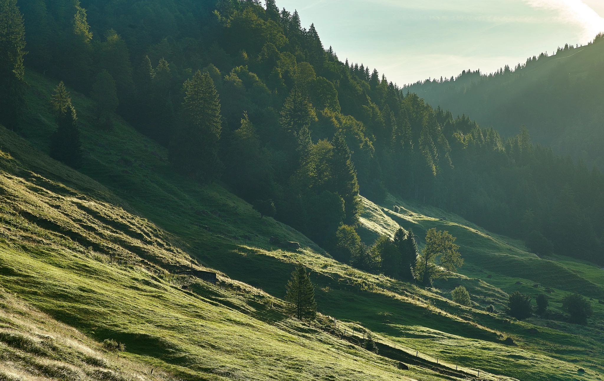 Phase One IQ3 100MP sample photo. Beautiful morning in the alps photography