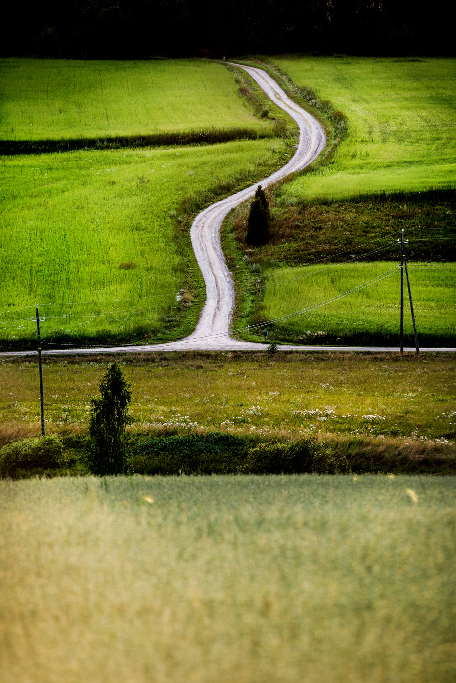 Nikon D800 + Sigma APO 100-300mm F4 EX IF HSM sample photo. Road in mahnala photography