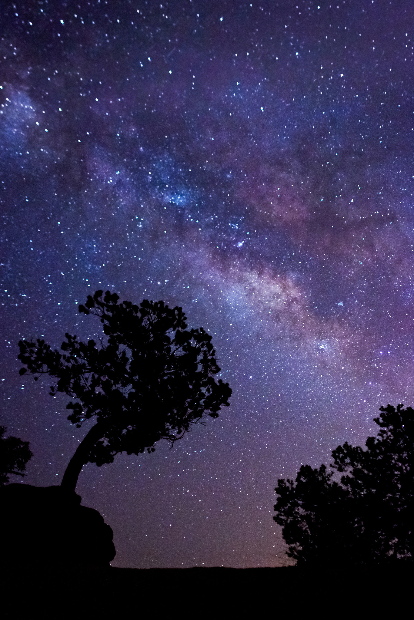 Canon EOS 70D + Sigma 24mm f/1.8 DG Macro EX sample photo. Into the night photography