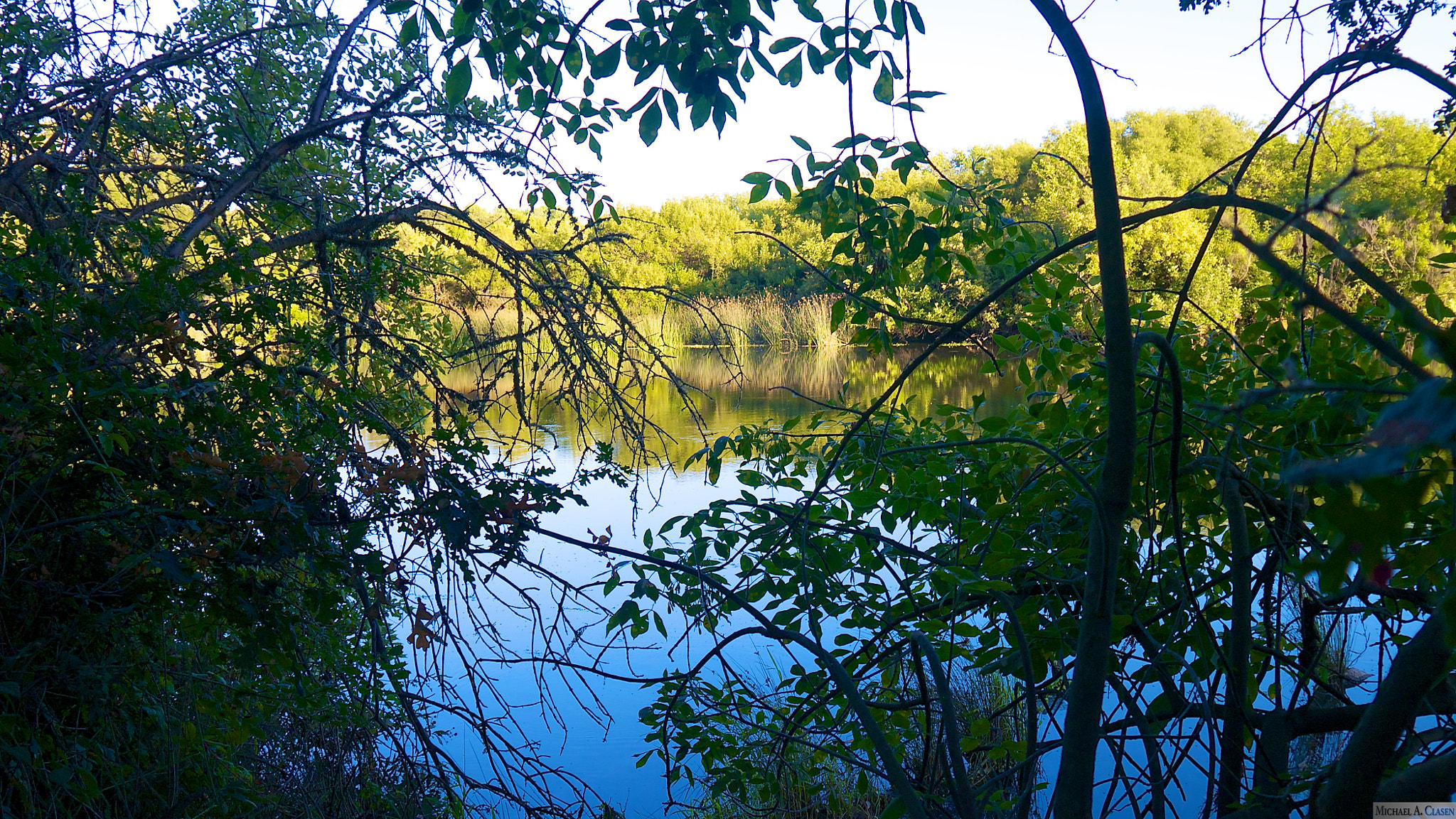 Panasonic Lumix DMC-GX1 sample photo. Consumes river preserve photography
