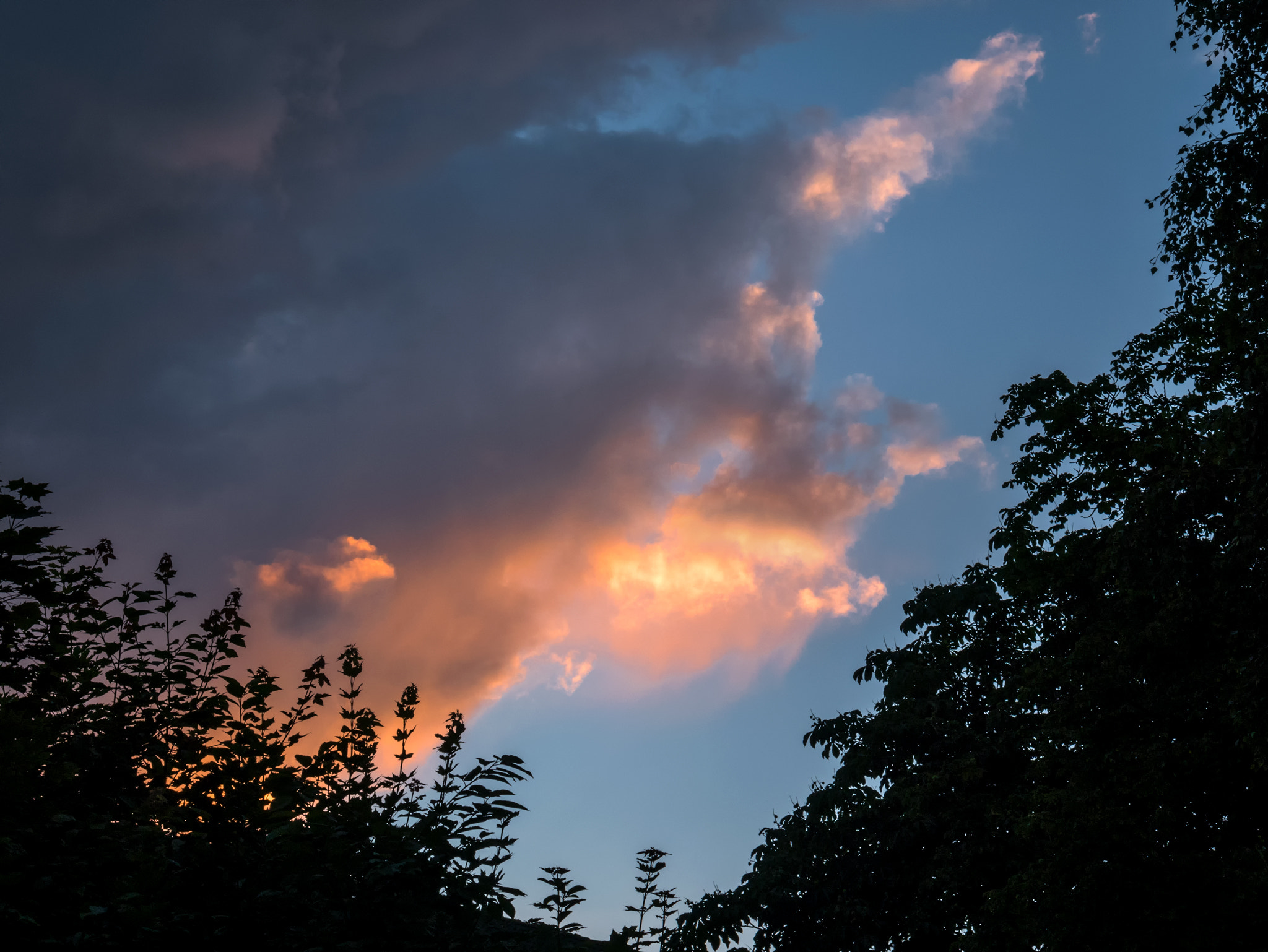Panasonic Lumix DMC-GX85 (Lumix DMC-GX80 / Lumix DMC-GX7 Mark II) sample photo. "abendstimmung!" photography
