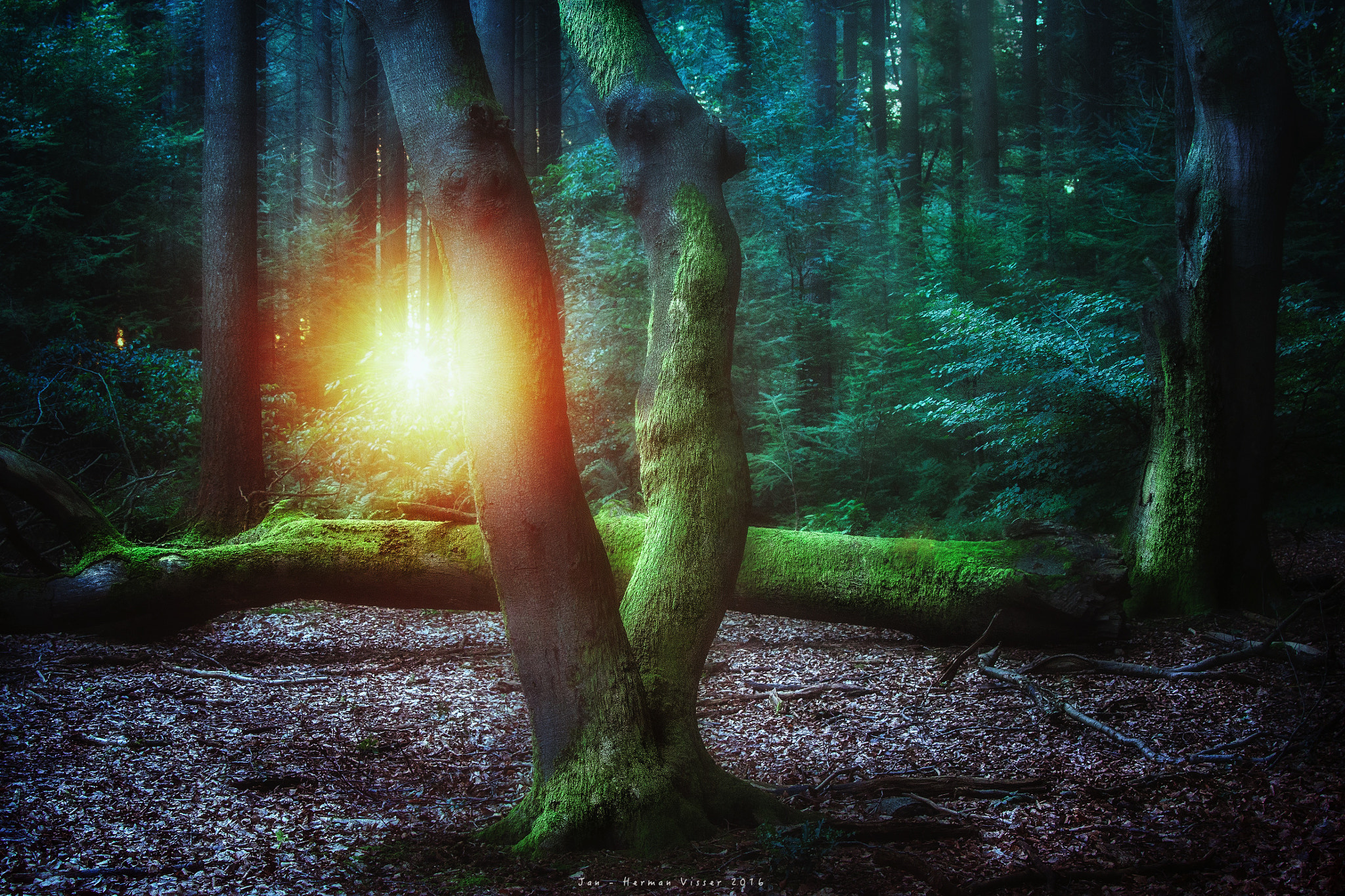 Canon EF 50-200mm f/3.5-4.5 sample photo. Sunrise in the morning... photography
