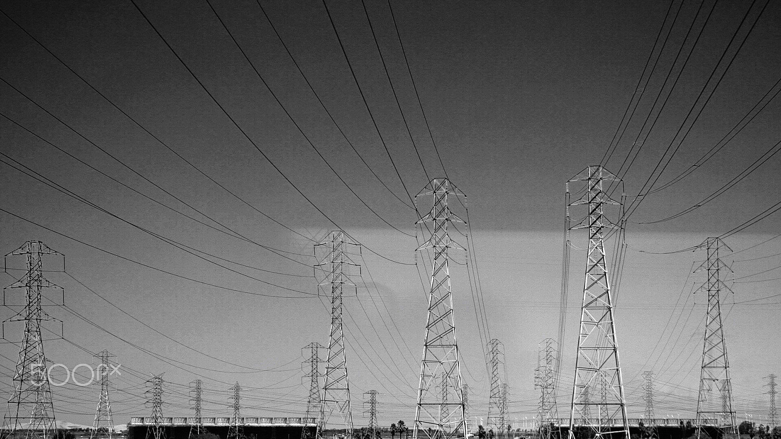 Sony Vario Tessar T* FE 24-70mm F4 ZA OSS sample photo. Giants amongst us photography
