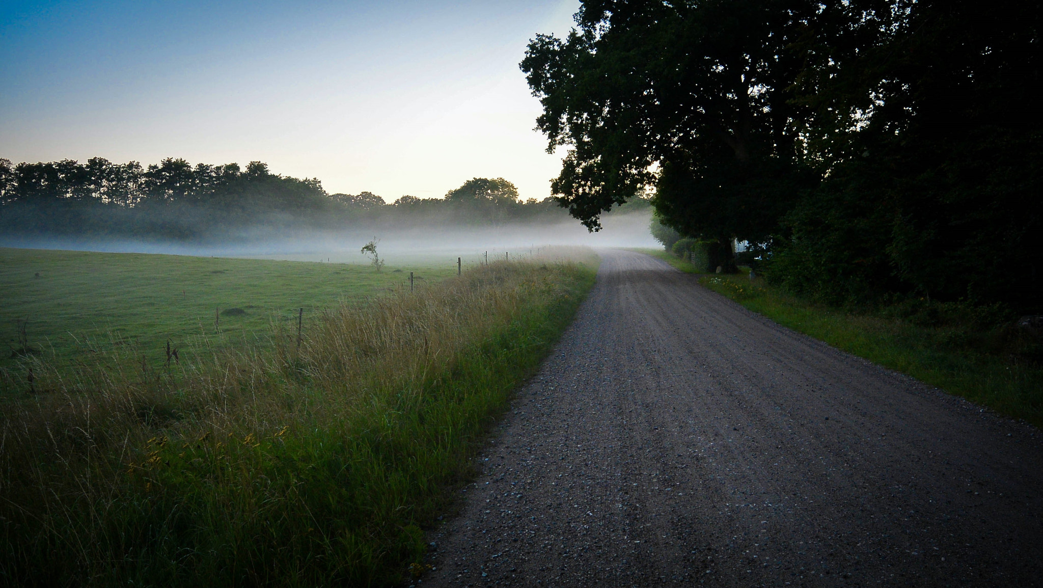 Nikon 1 S1 sample photo. The road and the mist... photography