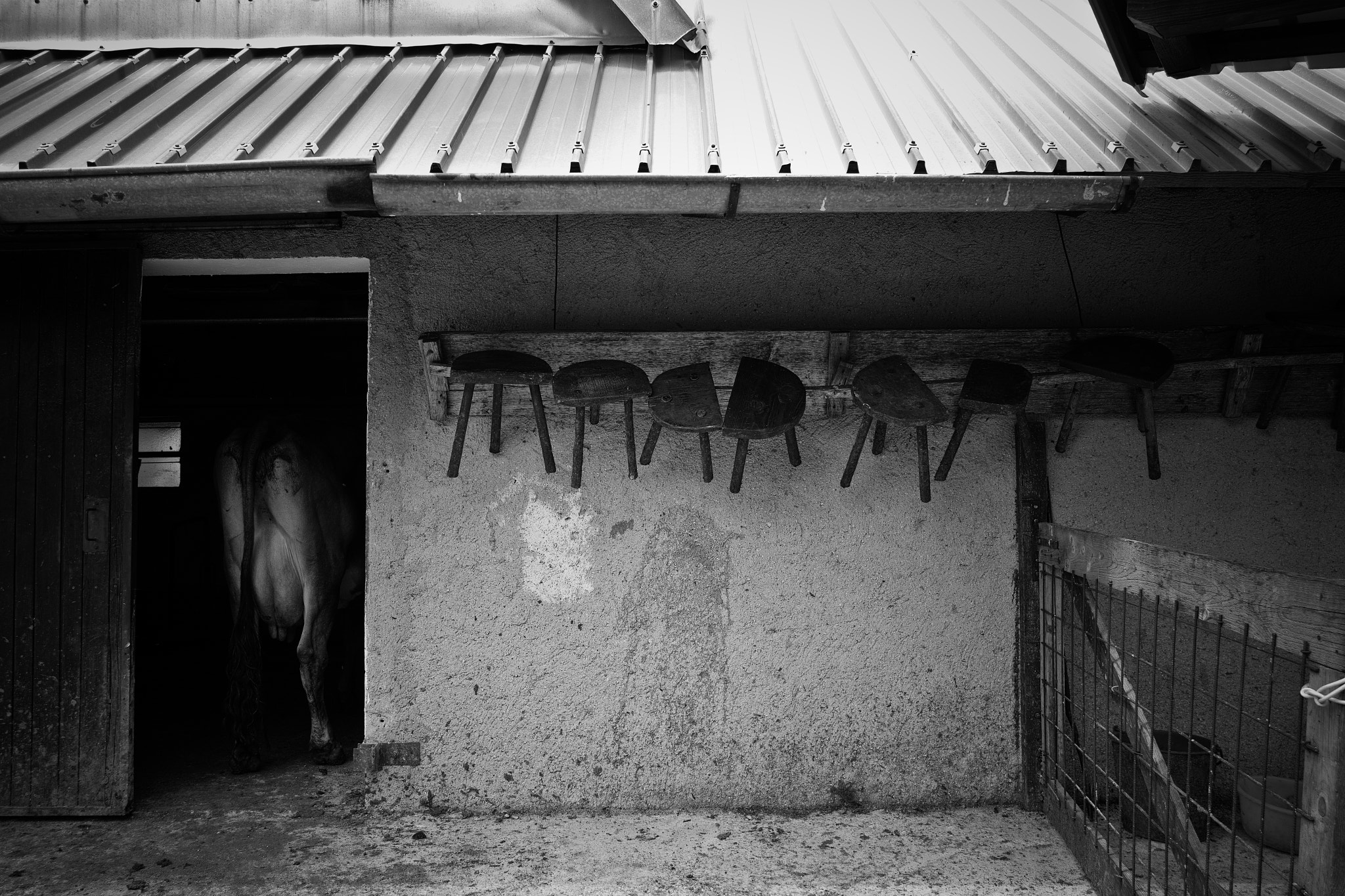 Sigma dp1 Quattro sample photo. Famous milk stools photography