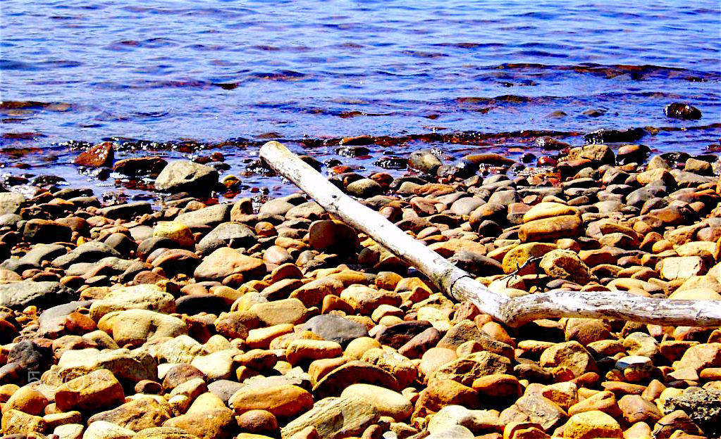 Olympus u10D,S300D,u300D sample photo. Stick & stones photography