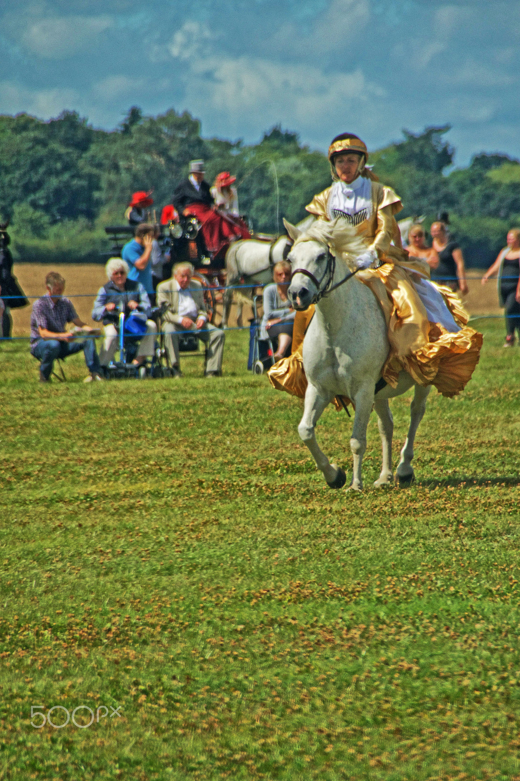 Sony DT 18-250mm F3.5-6.3 sample photo. Trotting up photography