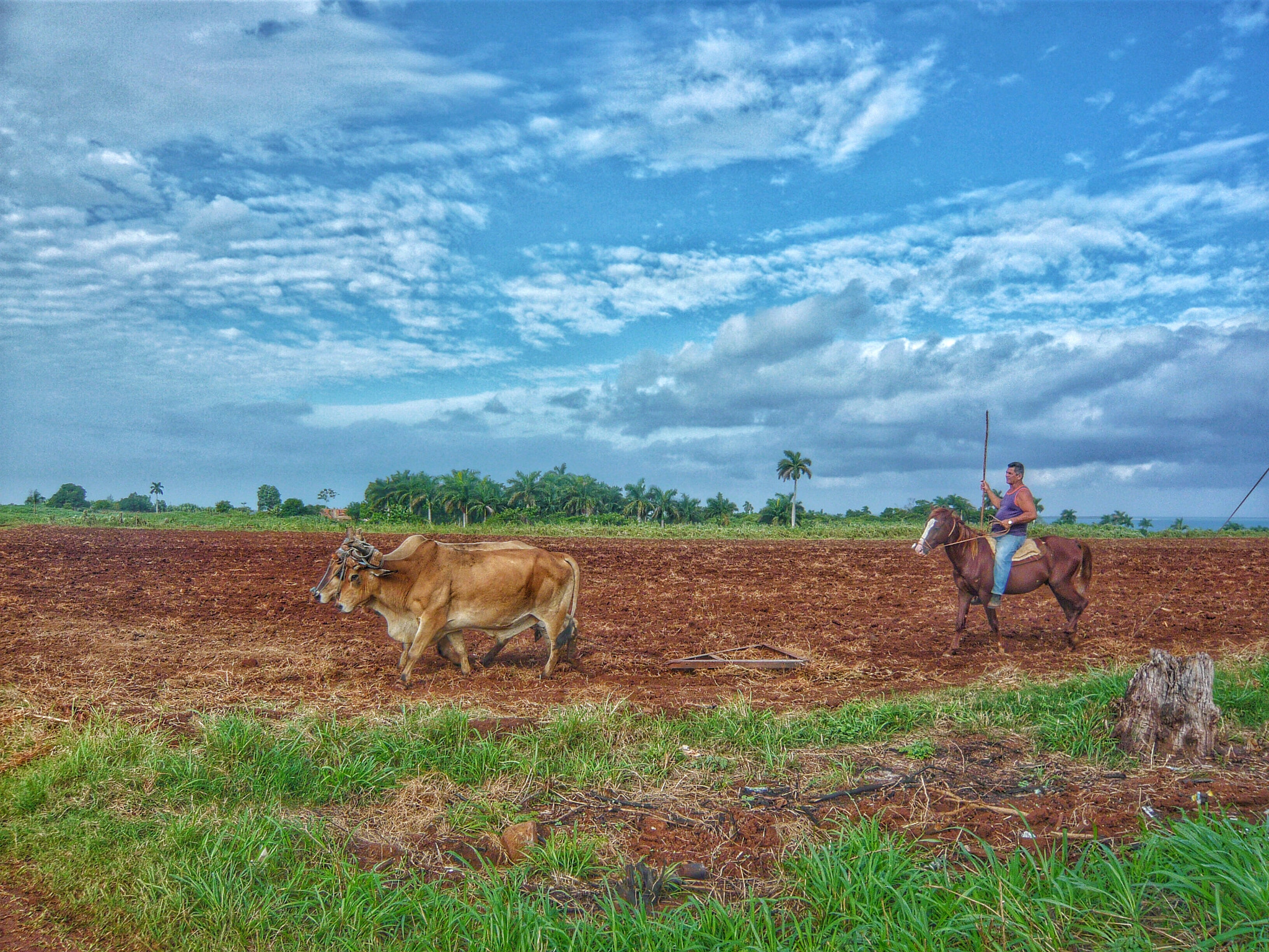 Panasonic DMC-FX33 sample photo. Campesino cubano photography