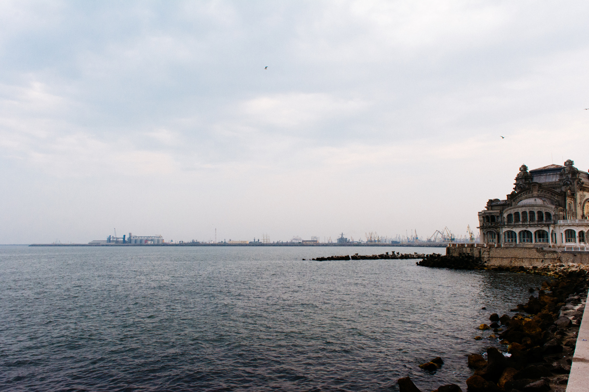 Sigma 18-50mm F2.8-4.5 DC OS HSM sample photo. #c photography