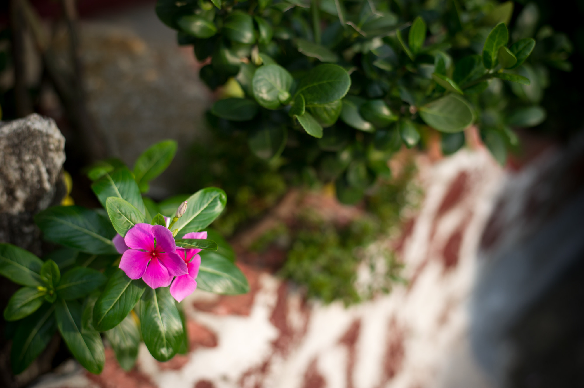 Nikon D3S + Nikon AF-S Nikkor 50mm F1.8G sample photo. Just an ordinary wednesday photography