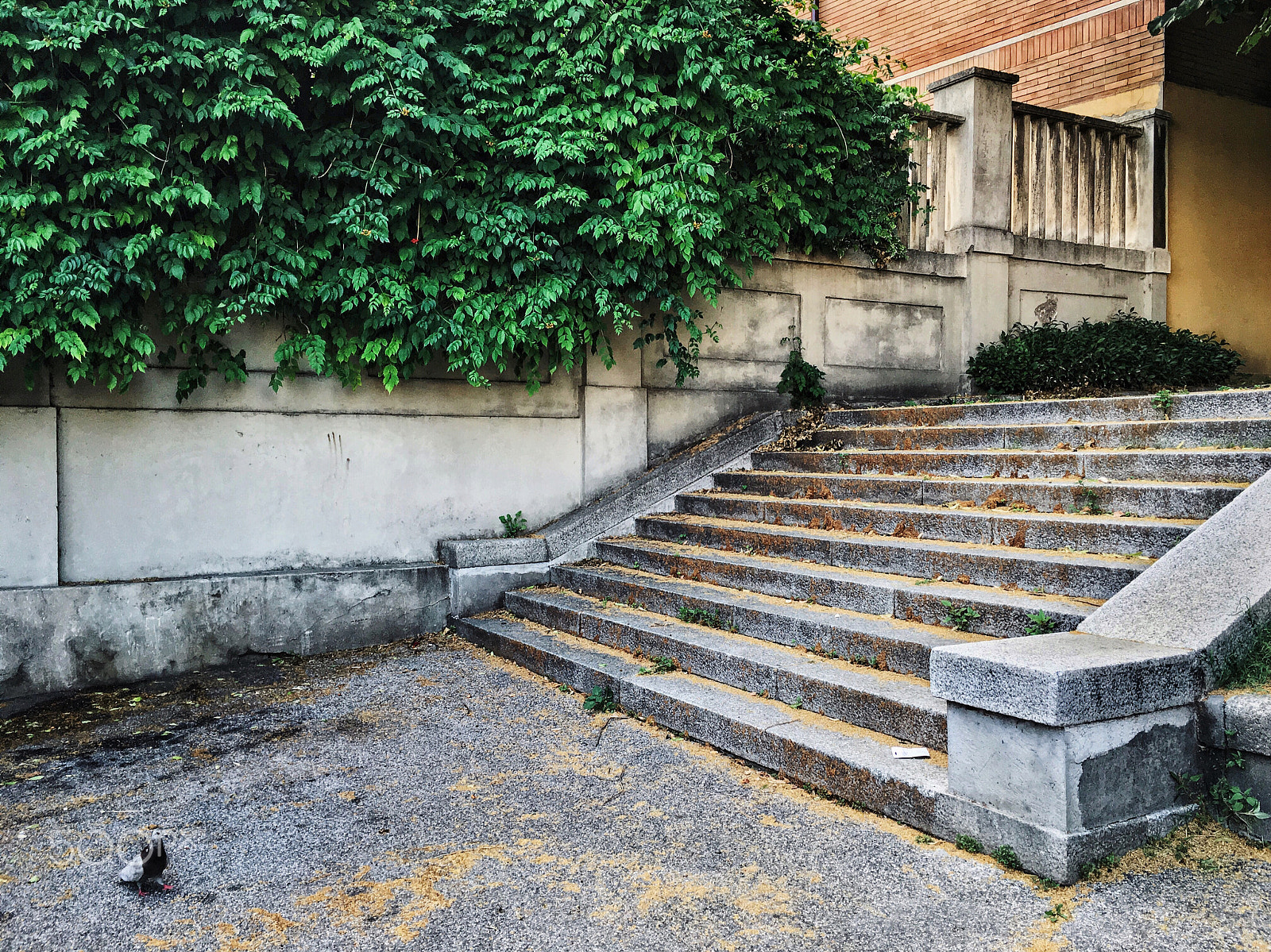Apple iPhone8,1 sample photo. Esprit de l'escalier photography
