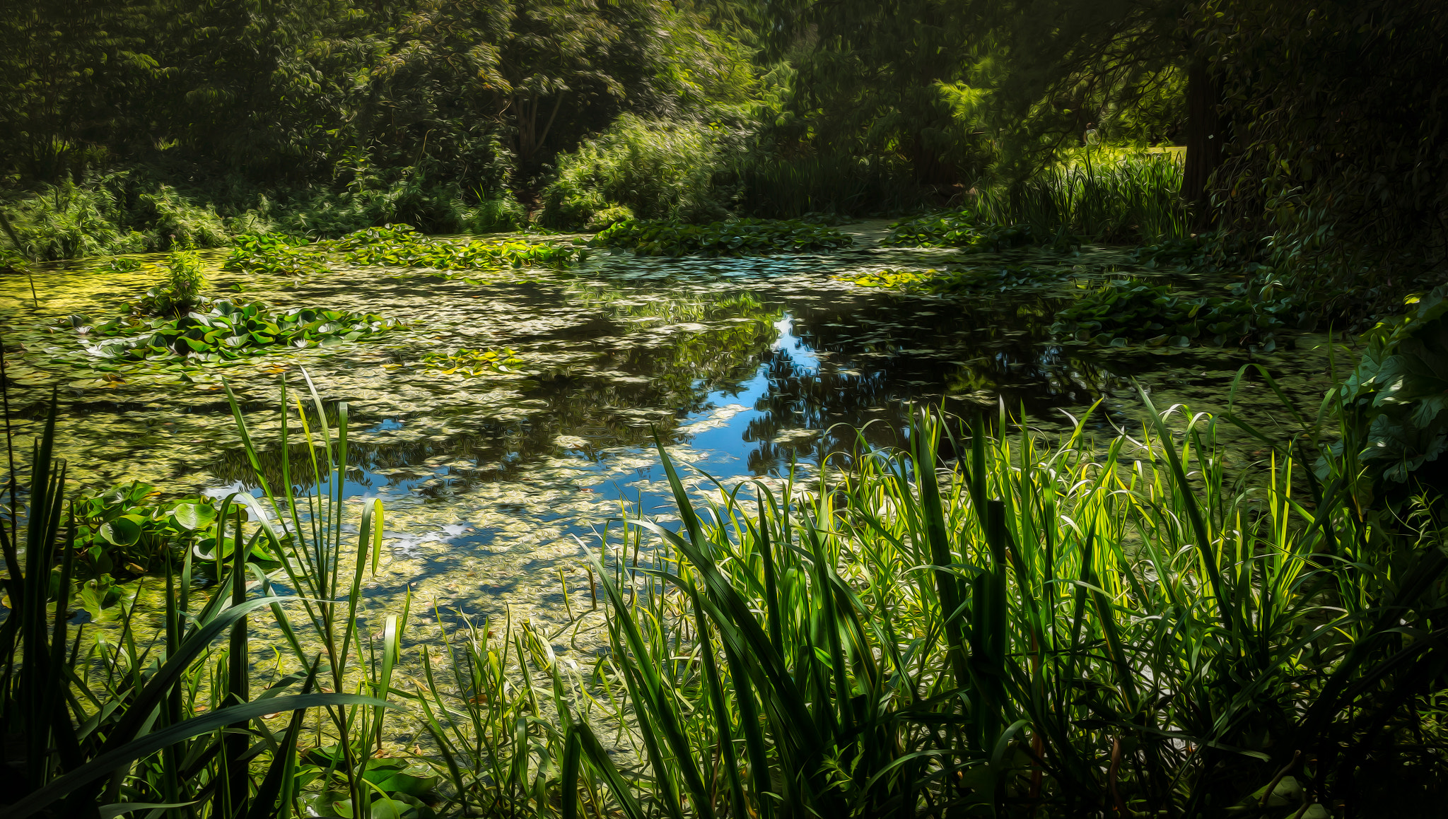 Panasonic Lumix DMC-GX1 + Panasonic Lumix G 14mm F2.5 ASPH sample photo. Water gardens of kew photography