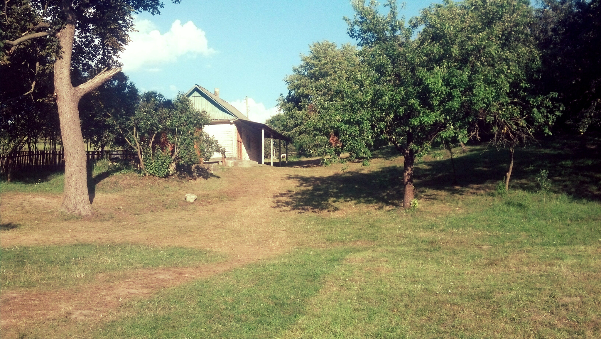 Motorola DROID RAZR sample photo