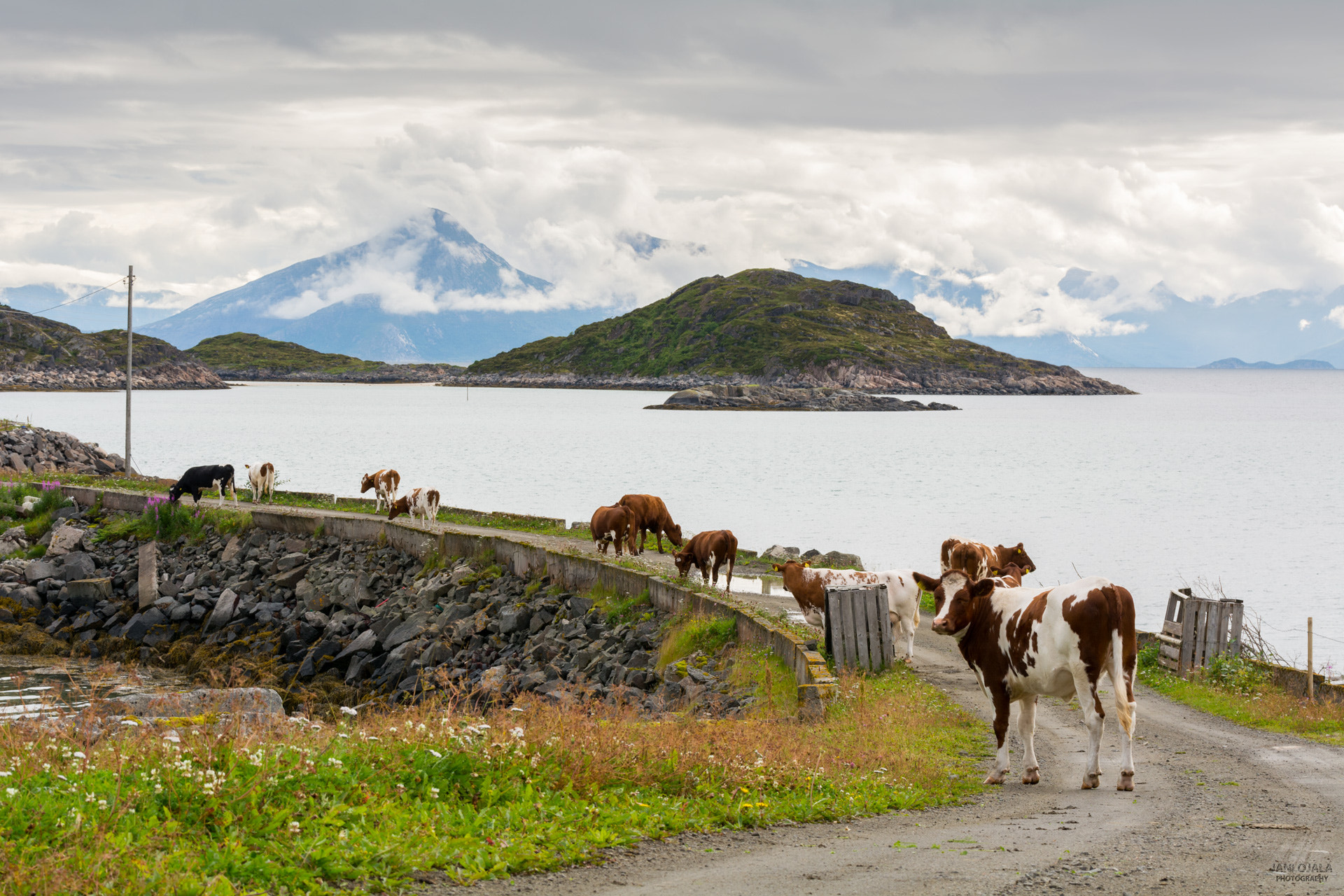 Nikon AF-S Nikkor 70-200mm F2.8G ED VR II sample photo. Countryside from norway beach photography