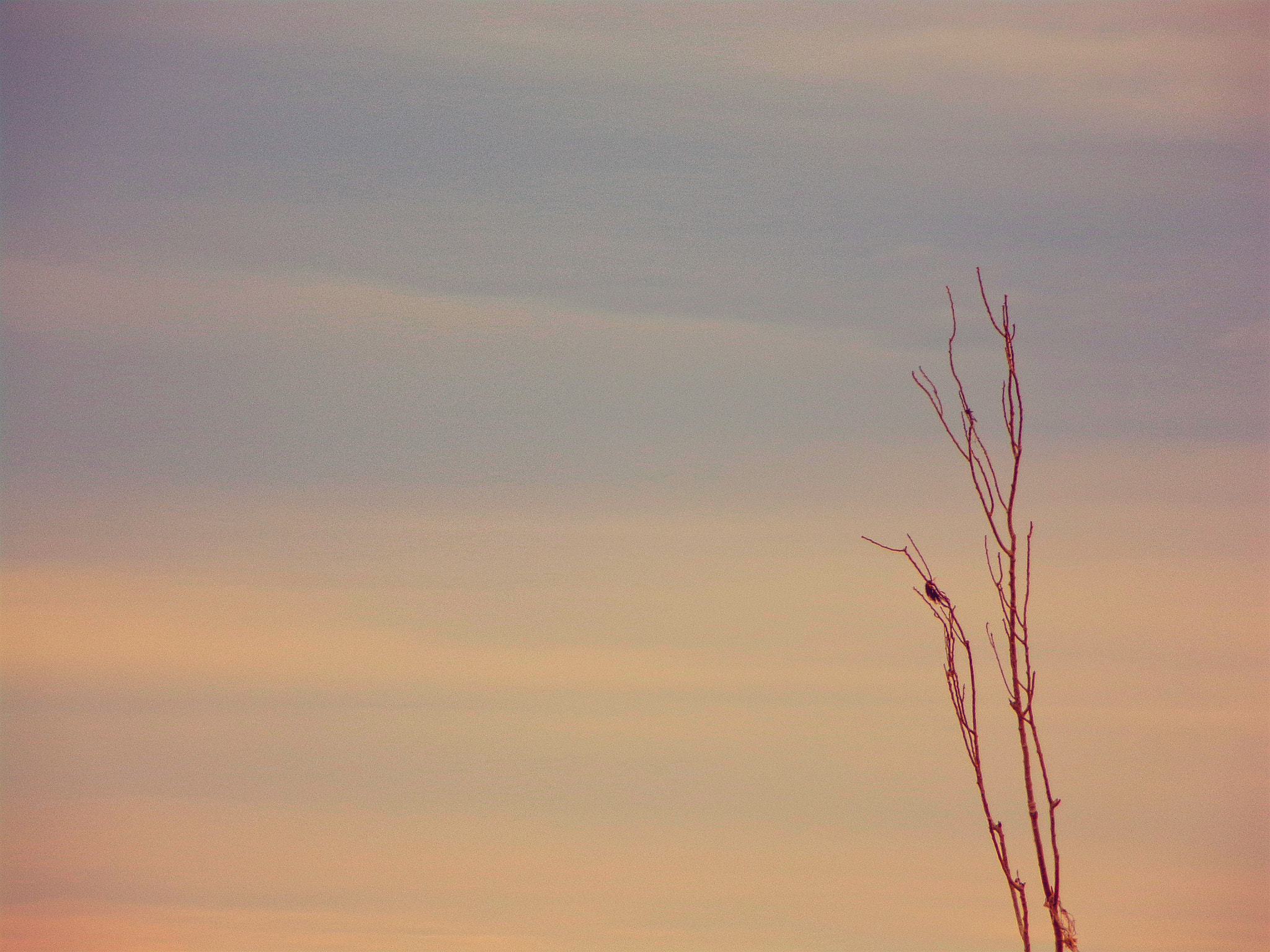 JK KODAK PIXPRO AZ421 sample photo. Sunset sky photography