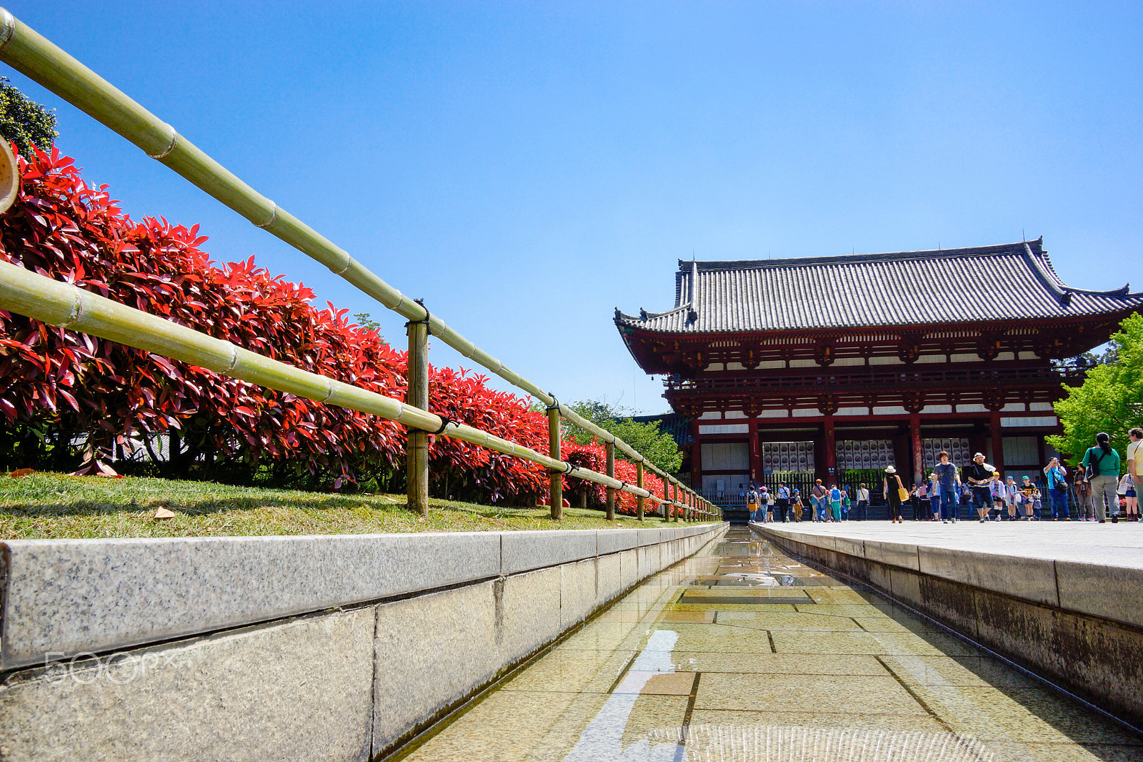 Sony Alpha NEX-7 + Sony Vario-Tessar T* E 16-70mm F4 ZA OSS sample photo. Todai ji garden photography