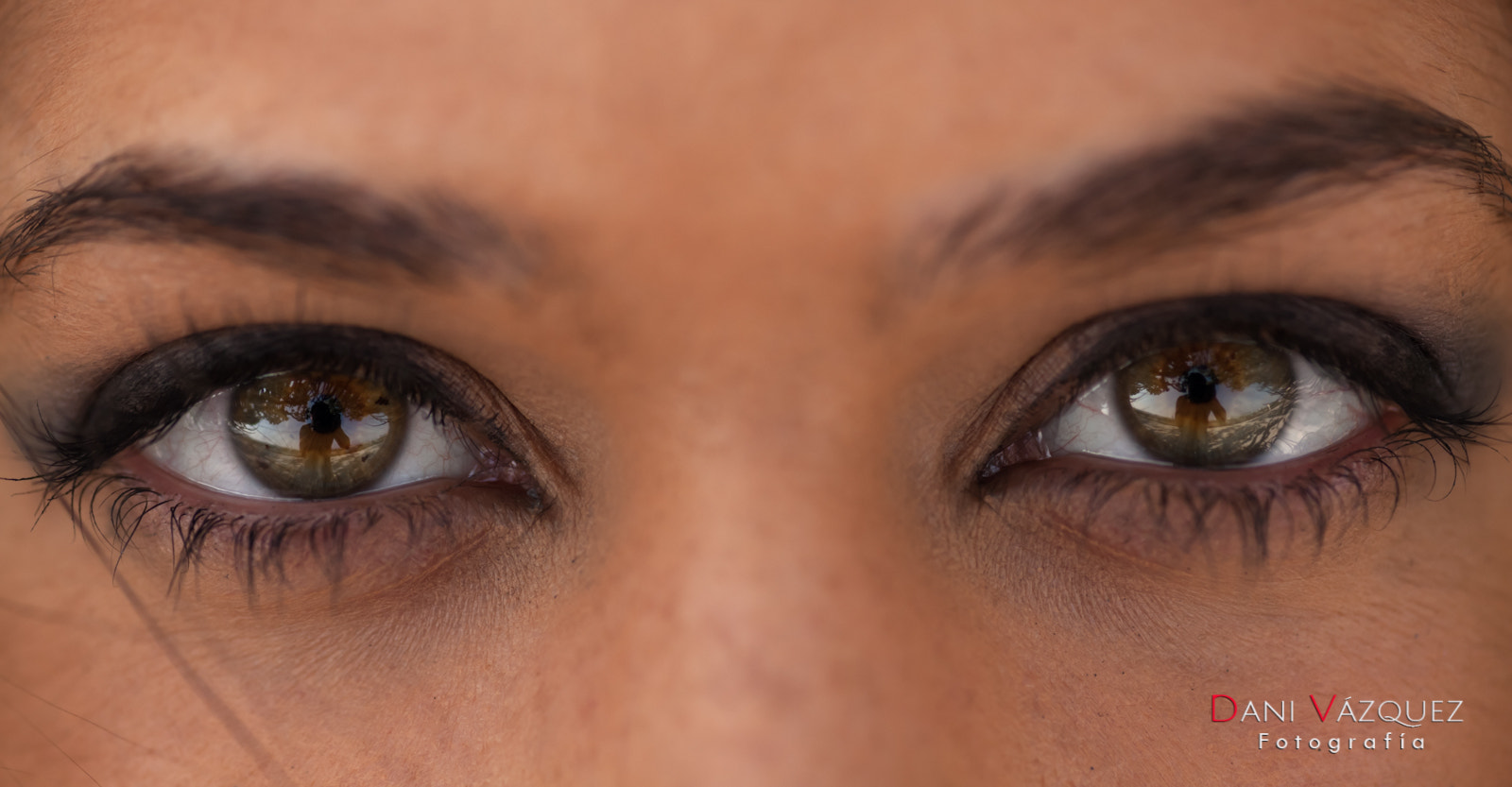 Sigma 105mm F2.8 EX DG Macro sample photo. Eyes photography