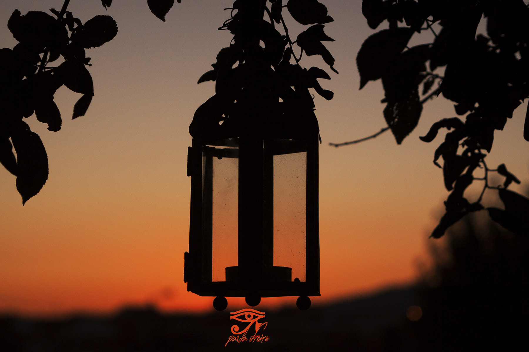 Canon EF 28-105mm f/3.5-4.5 USM sample photo. Cage photography