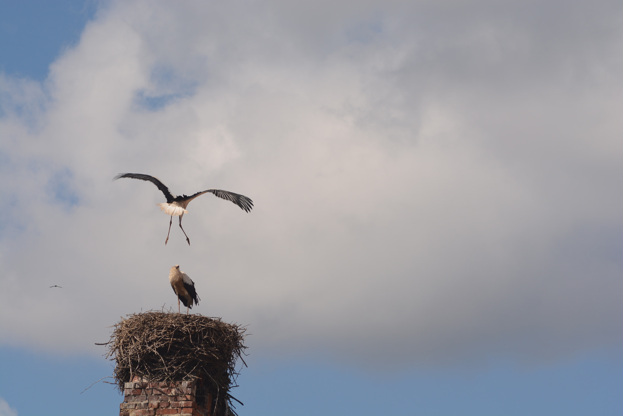 Nikon D7100 + AF Nikkor 70-210mm f/4-5.6 sample photo. The nest photography