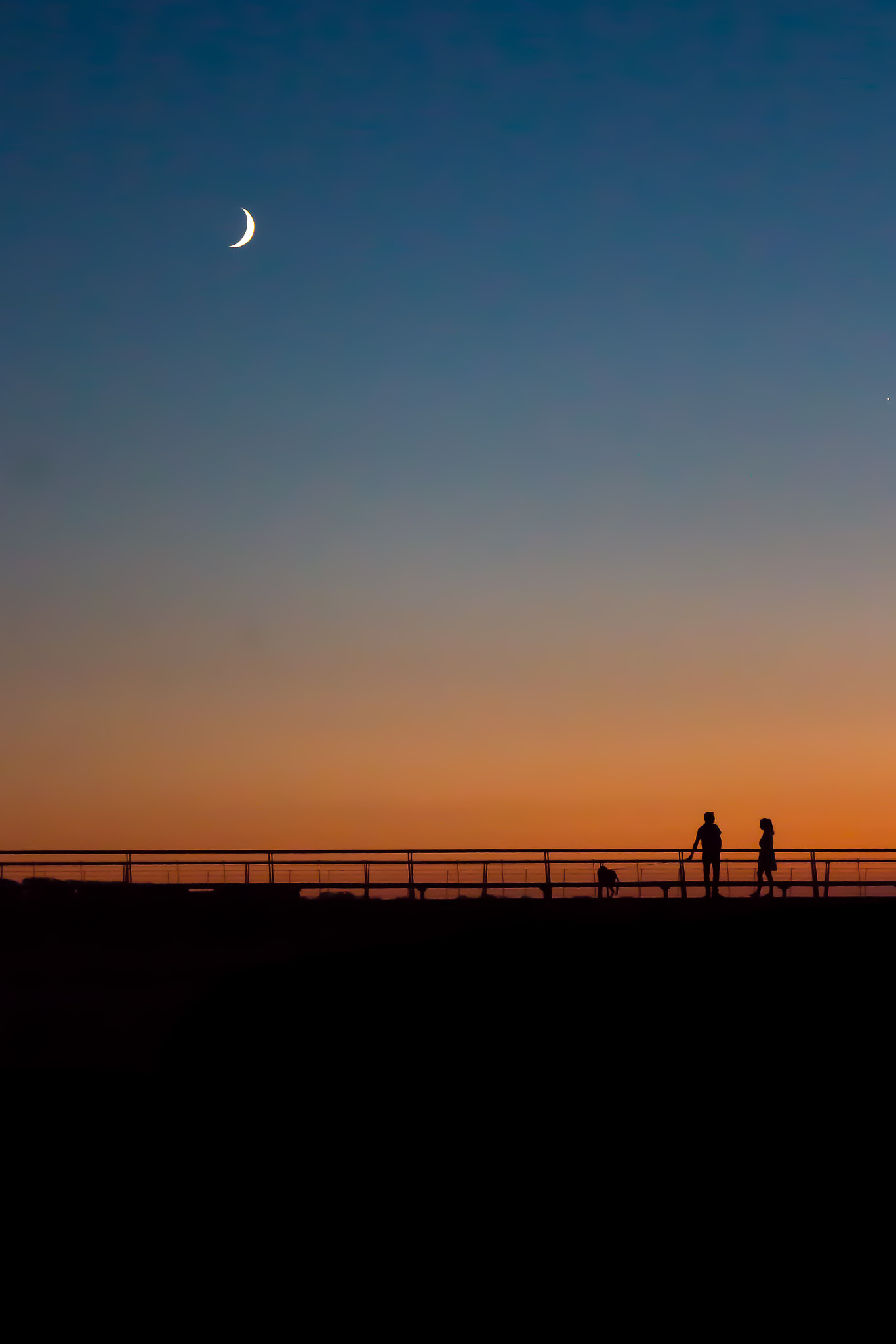 Canon EF 24-70mm F4L IS USM sample photo. Love under the moon photography