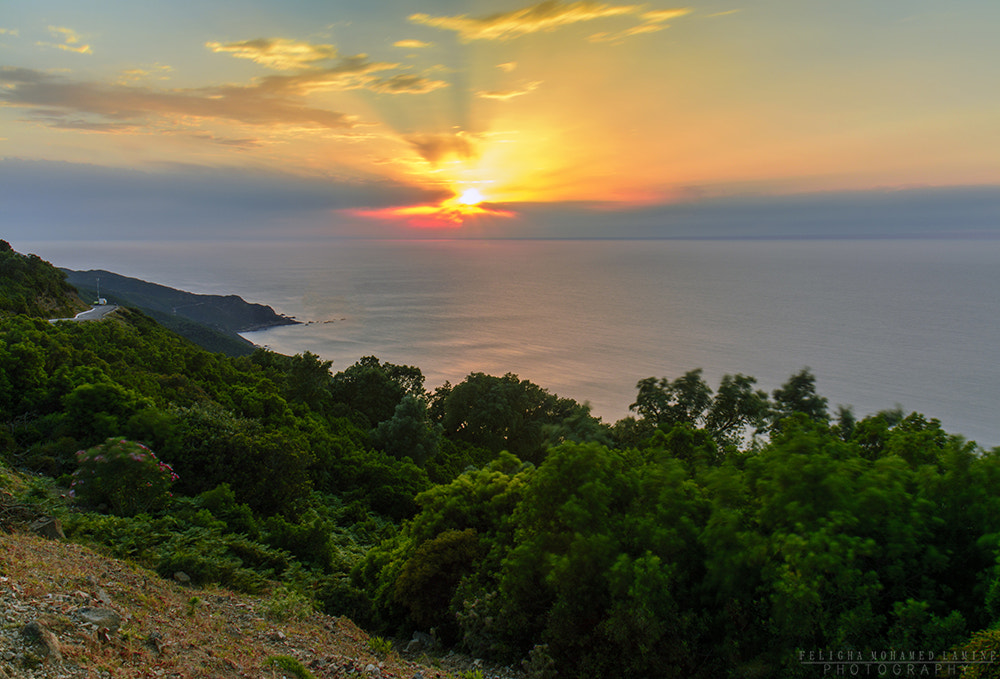 Sigma 18-50mm F2.8-4.5 DC OS HSM sample photo. Sunset photography