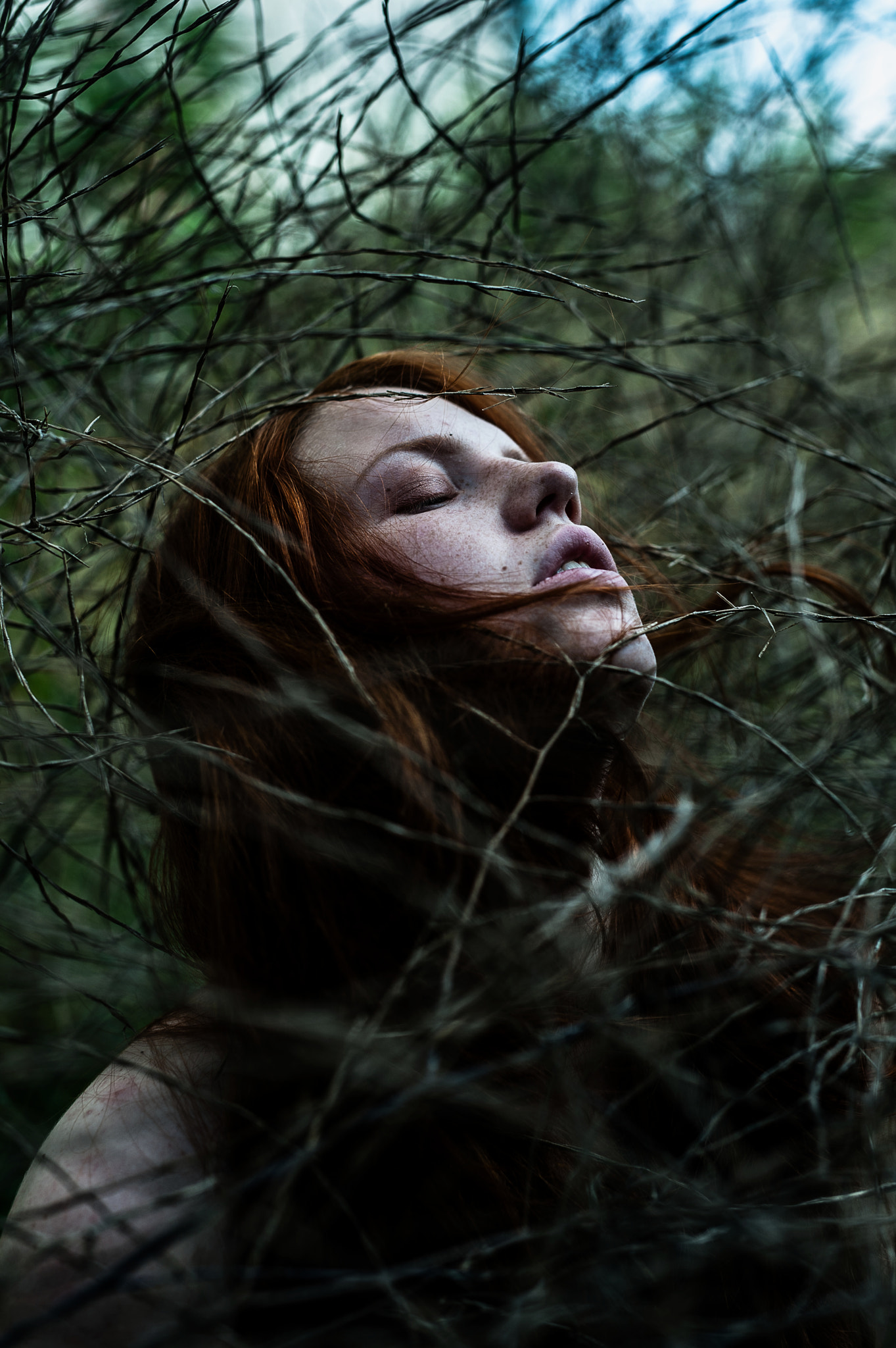 Nikon D700 + Sigma 50mm F1.4 DG HSM Art sample photo. Lost photography