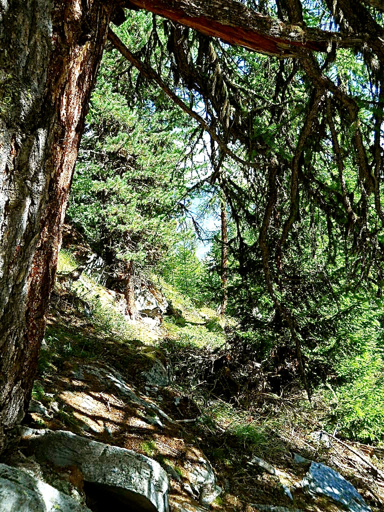 Nikon Coolpix L22 sample photo. Swiss alpine trail photography