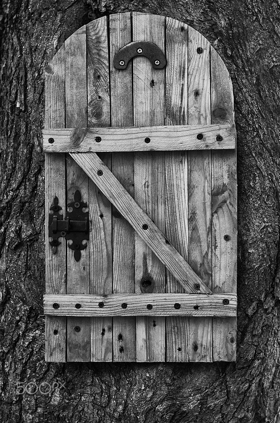 Pentax K-5 IIs + A Series Lens sample photo. Sketsh photography