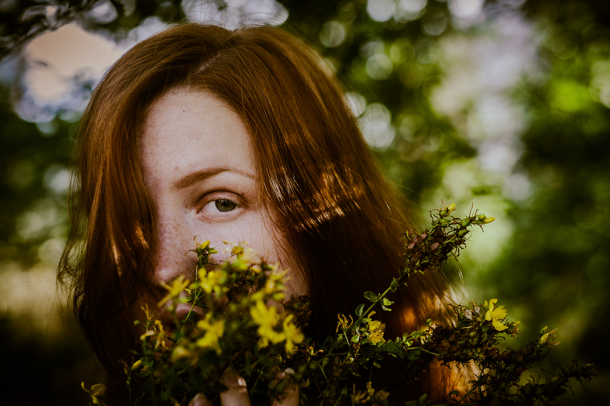 Nikon D700 + Sigma 50mm F1.4 DG HSM Art sample photo. Hidden in yellow flowers photography