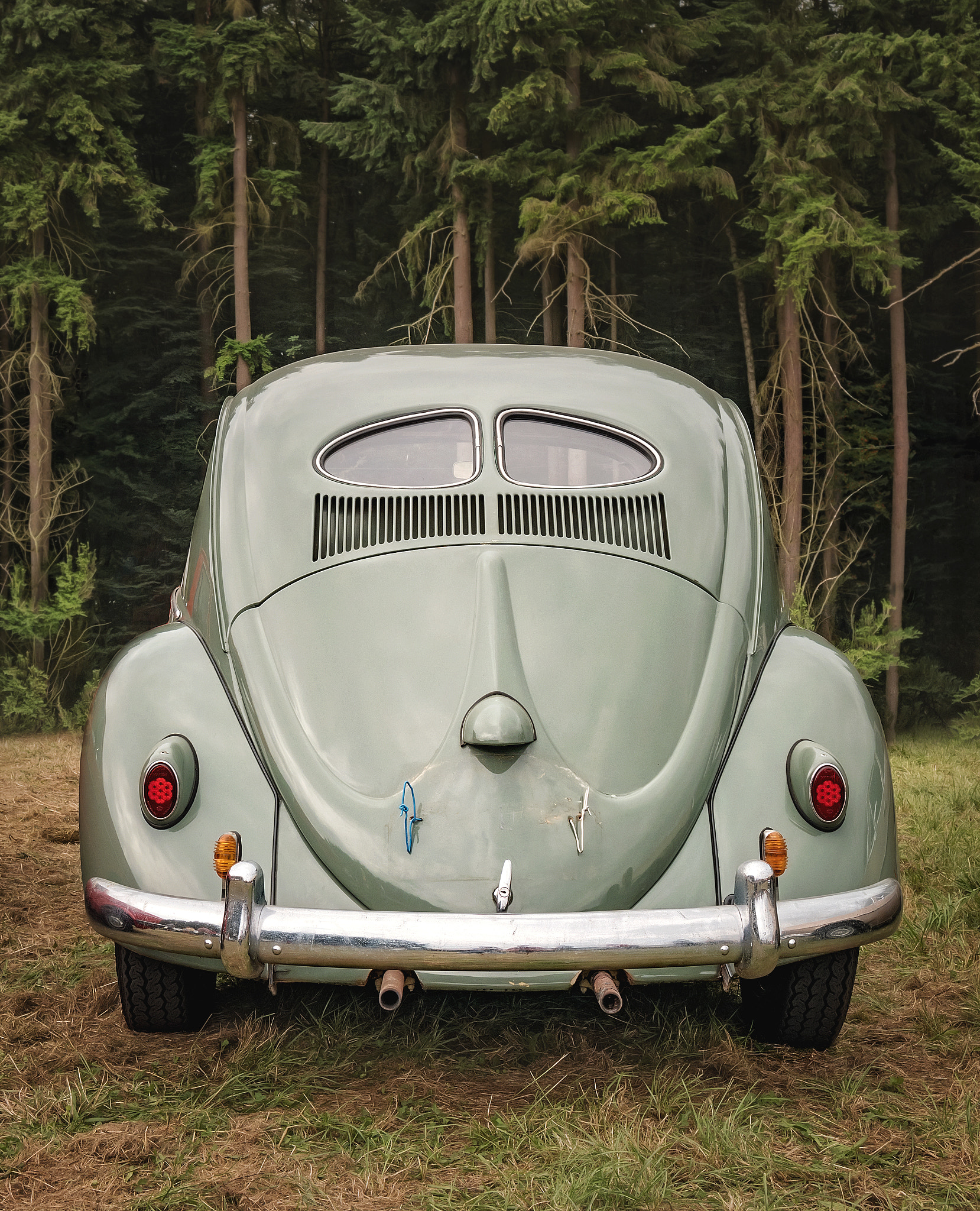 Panasonic Lumix DMC-GX85 (Lumix DMC-GX80 / Lumix DMC-GX7 Mark II) sample photo. "oldtimer; käfer!" photography